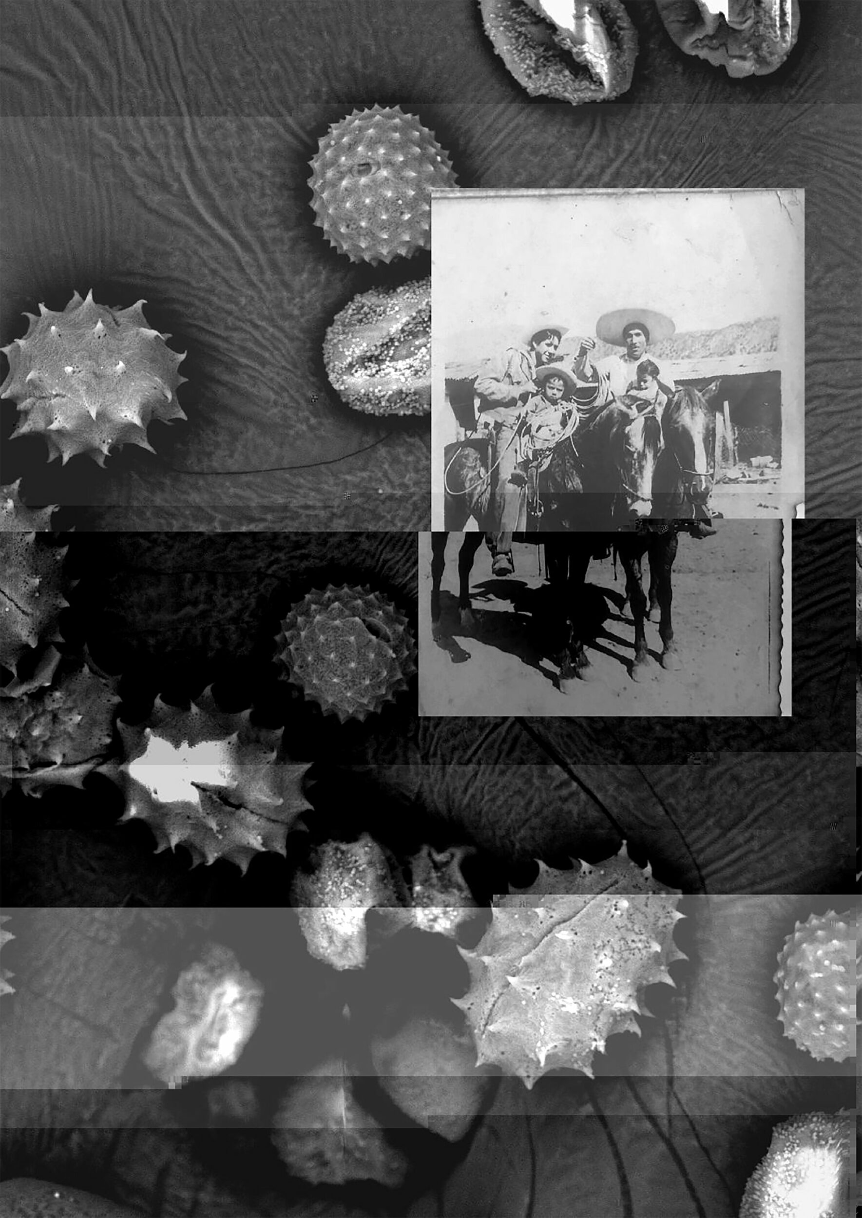 James Evans, Beatrix and the EPV - Vir Andres Hera