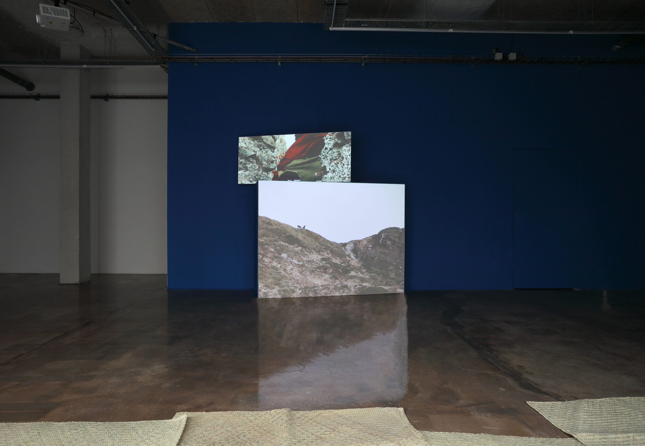 Les Langues de la Pythie - Vir Andres Hera