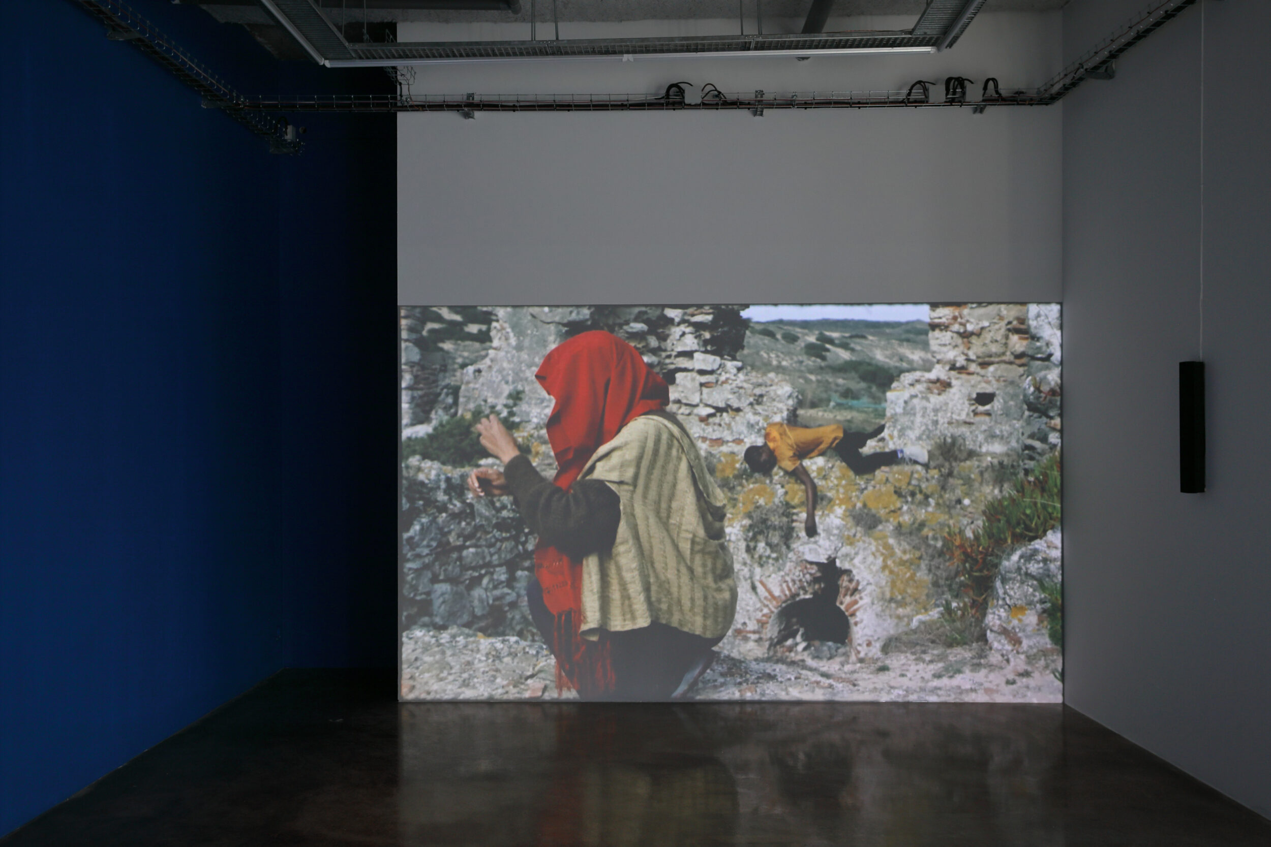 Les Langues de la Pythie - Vir Andres Hera