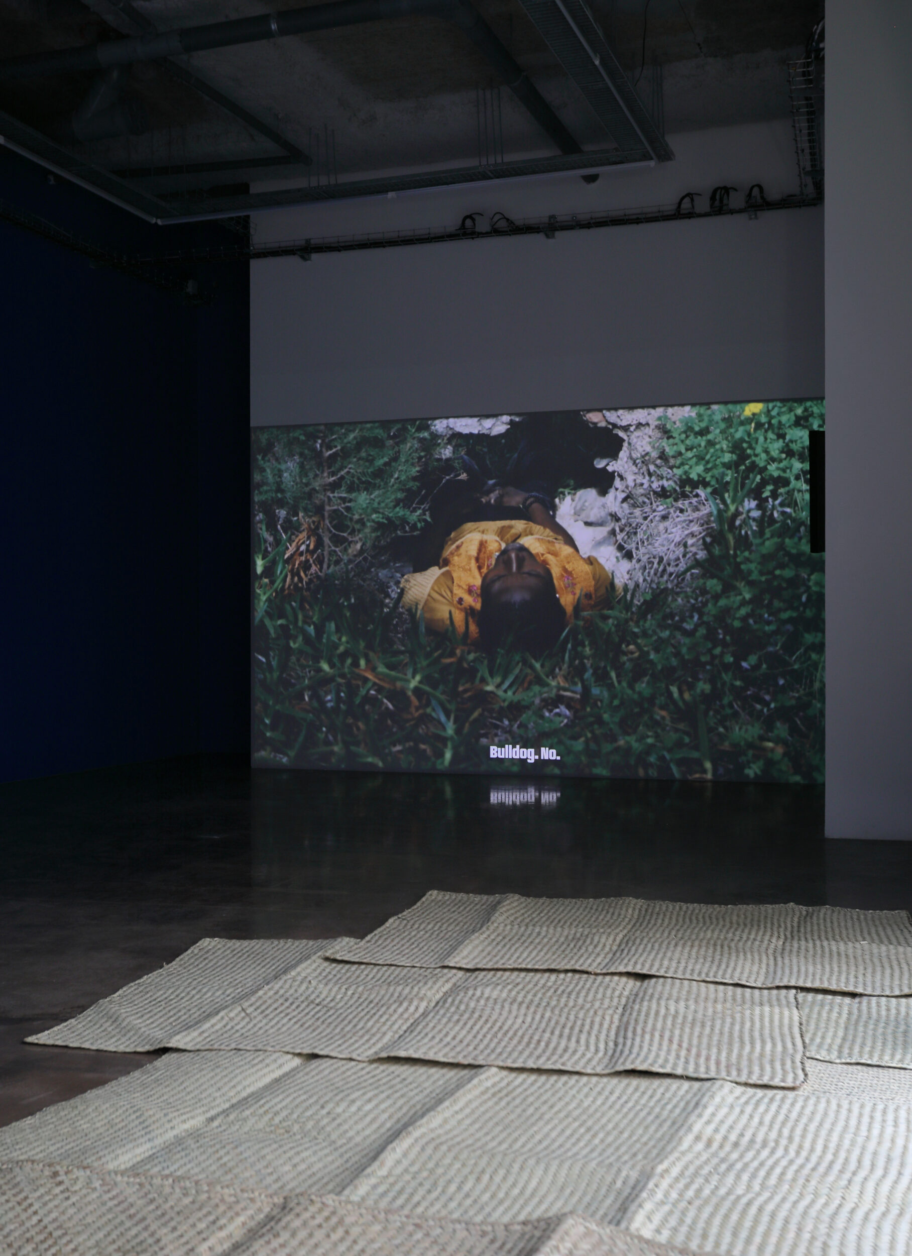 Les Langues de la Pythie - Vir Andres Hera