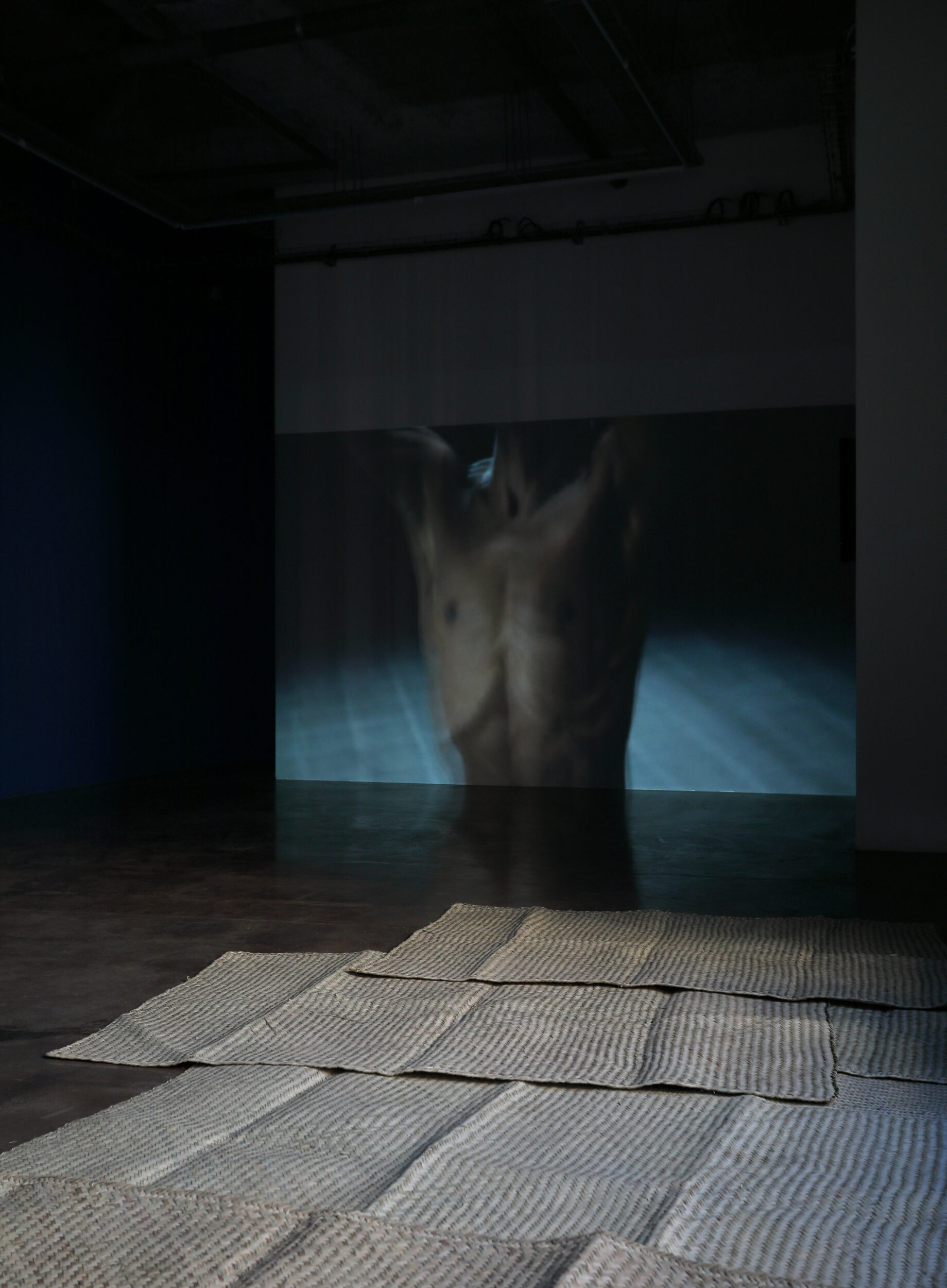 Les Langues de la Pythie - Vir Andres Hera