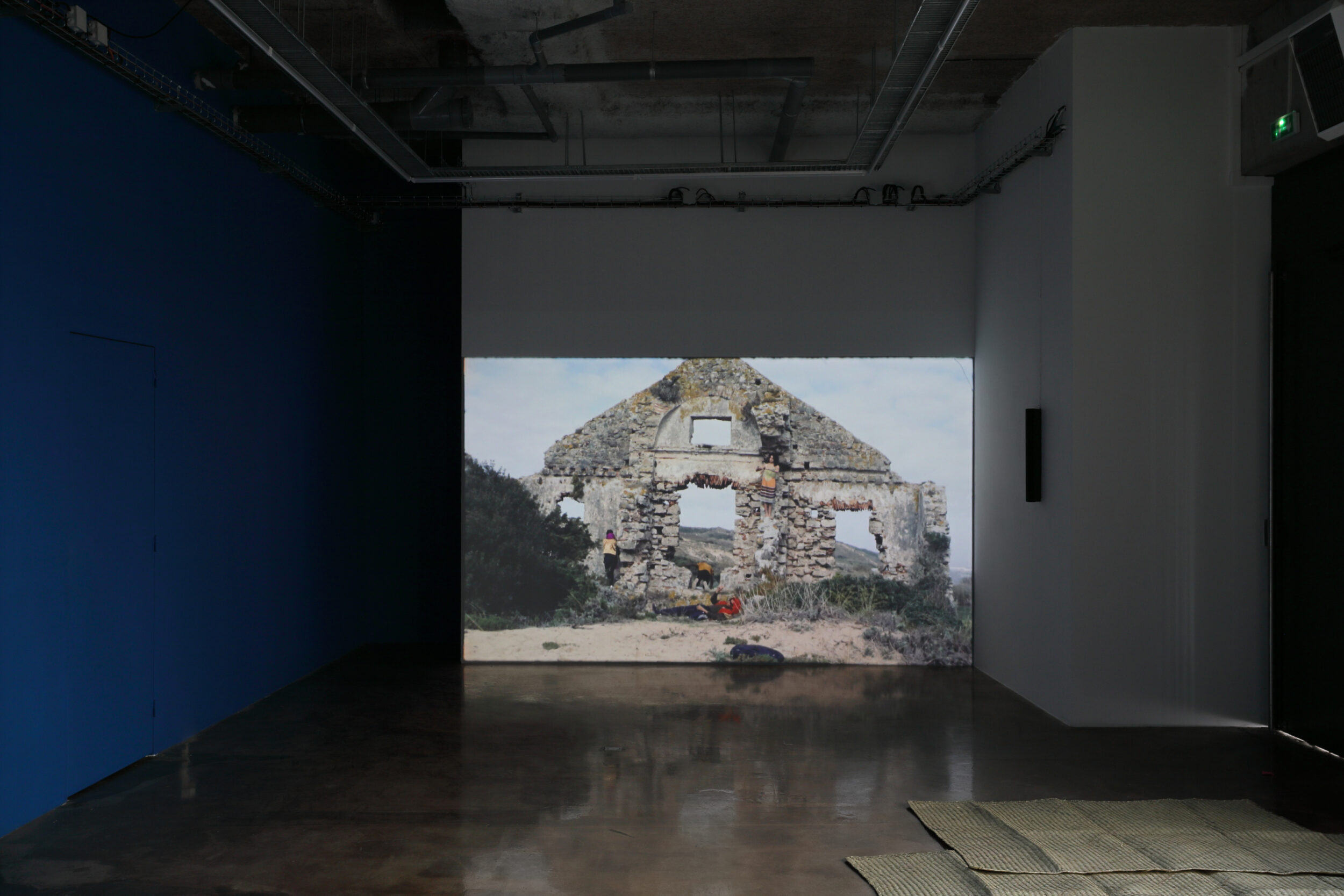 Les Langues de la Pythie - Vir Andres Hera