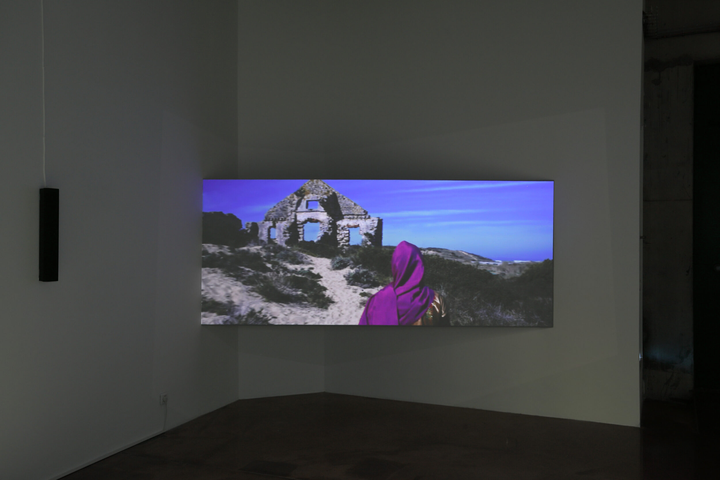 Les Langues de la Pythie - Vir Andres Hera