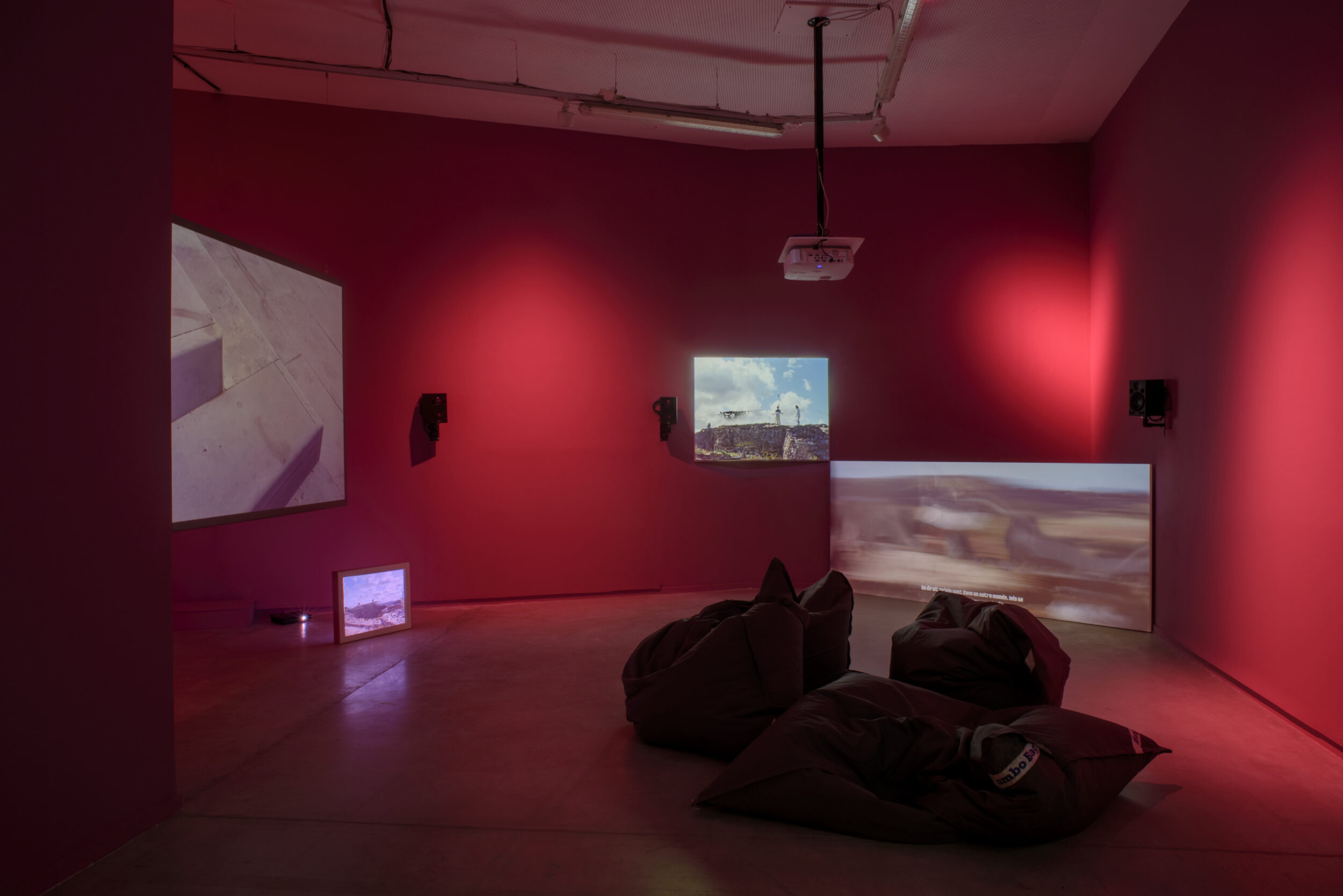 SOL ! The Regional Biennale #2 - Vir Andres Hera