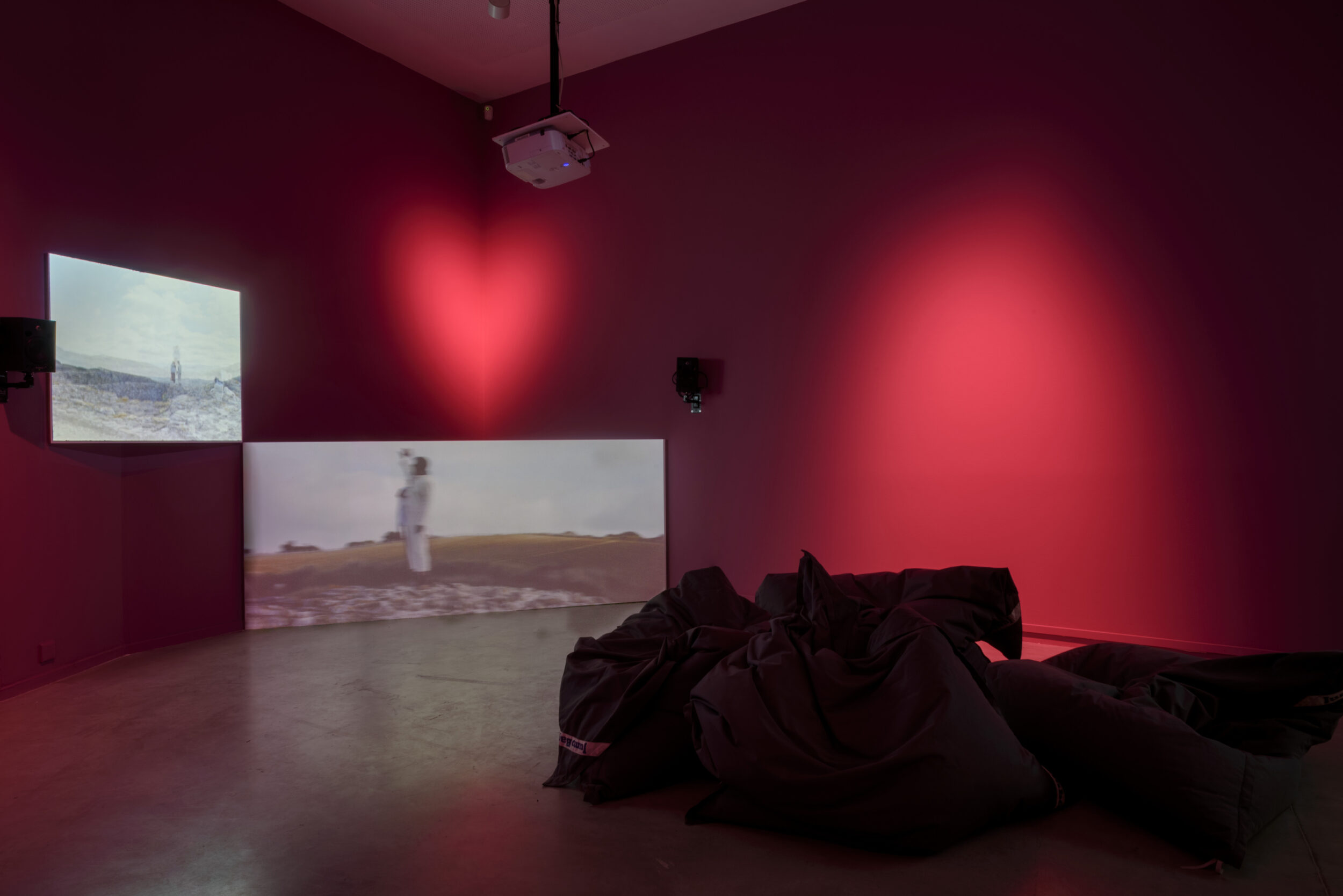 SOL ! The Regional Biennale #2 - Vir Andres Hera