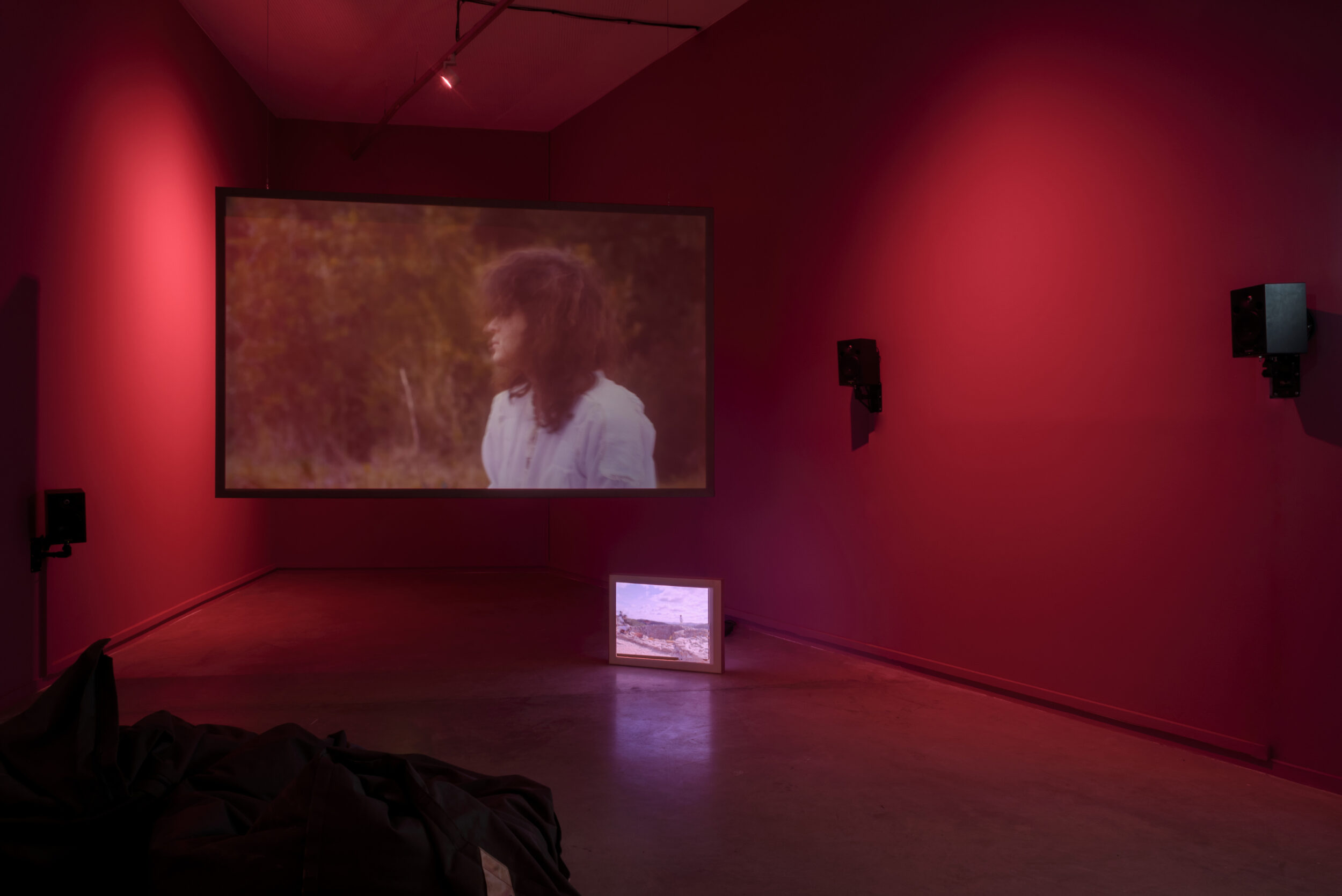 SOL ! The Regional Biennale #2 - Vir Andres Hera