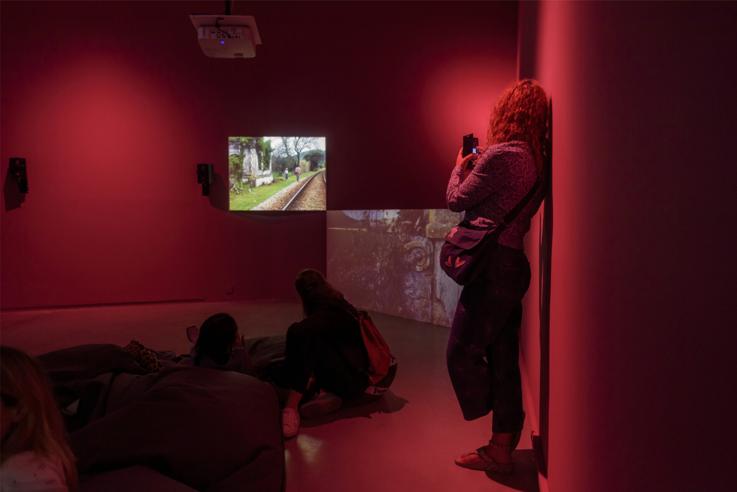 SOL ! The Regional Biennale #2 - Vir Andres Hera