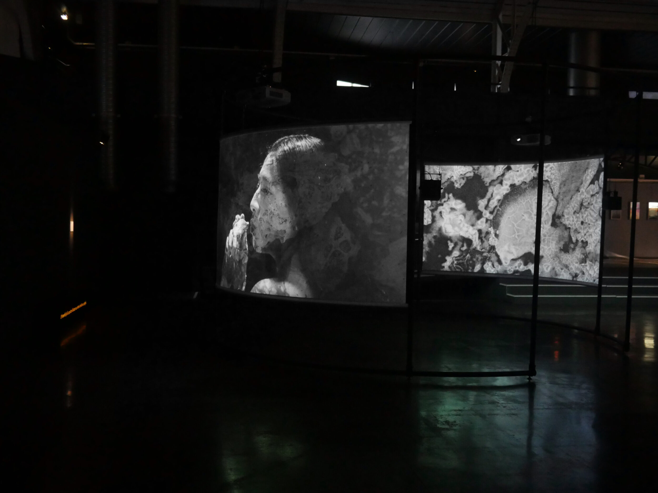 Misurgia Sisitlallan - Vir Andres Hera