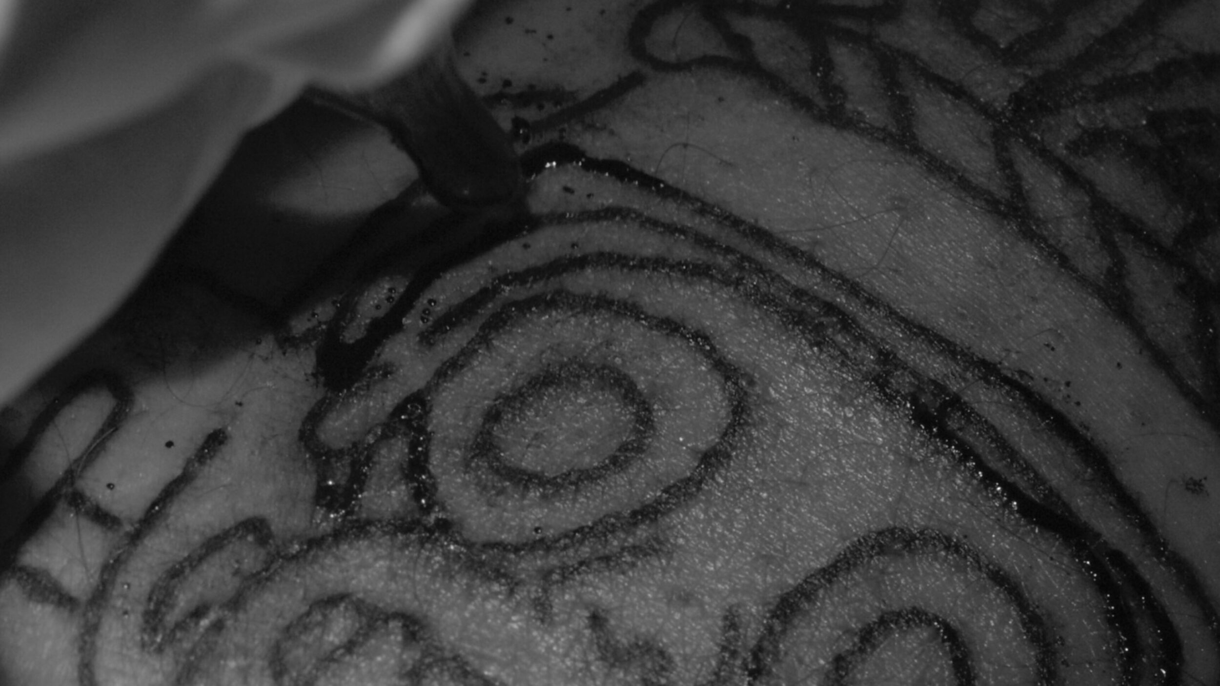 Misurgia Sisitlallan - Vir Andres Hera