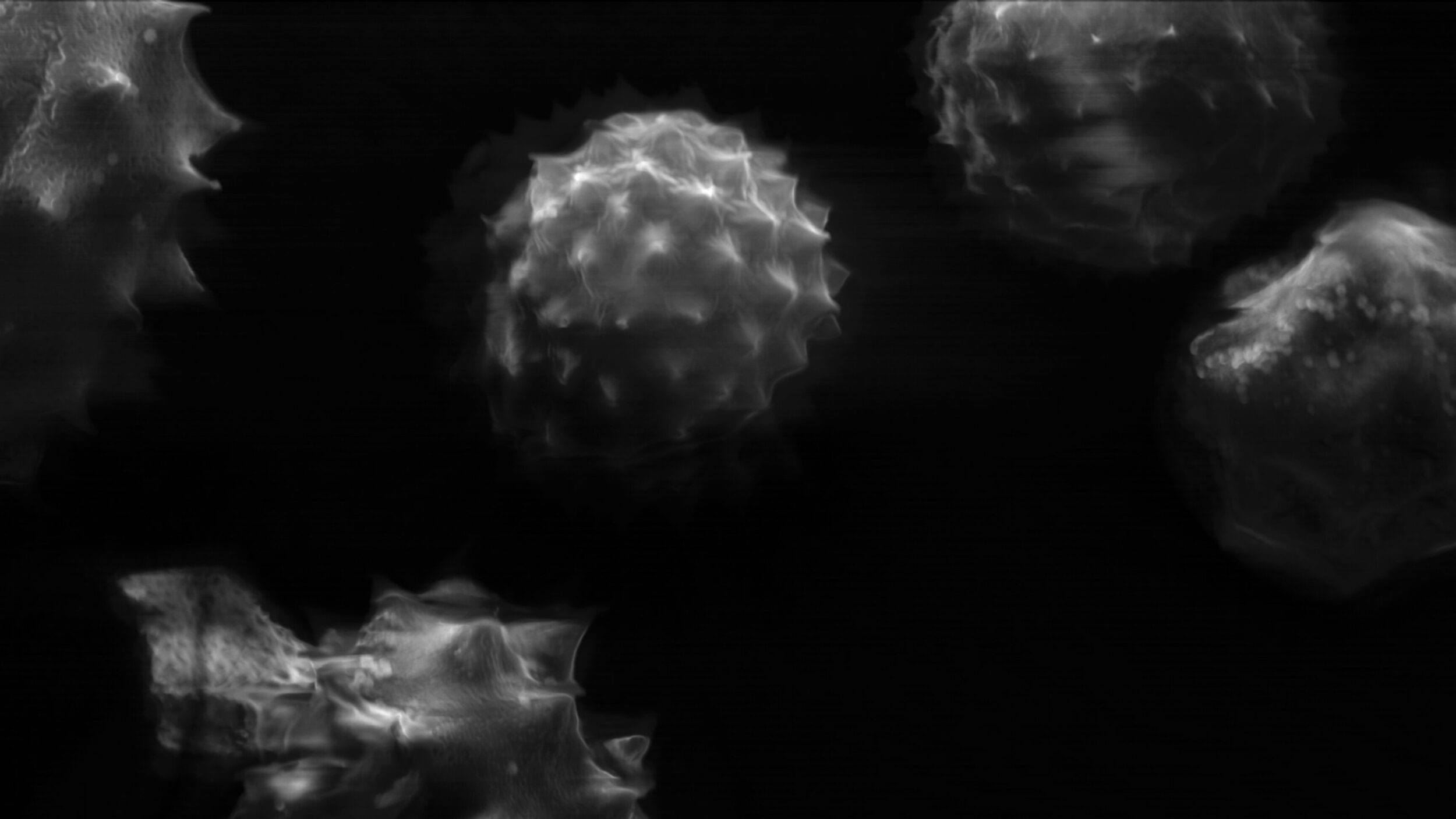 Misurgia Sisitlallan - Vir Andres Hera