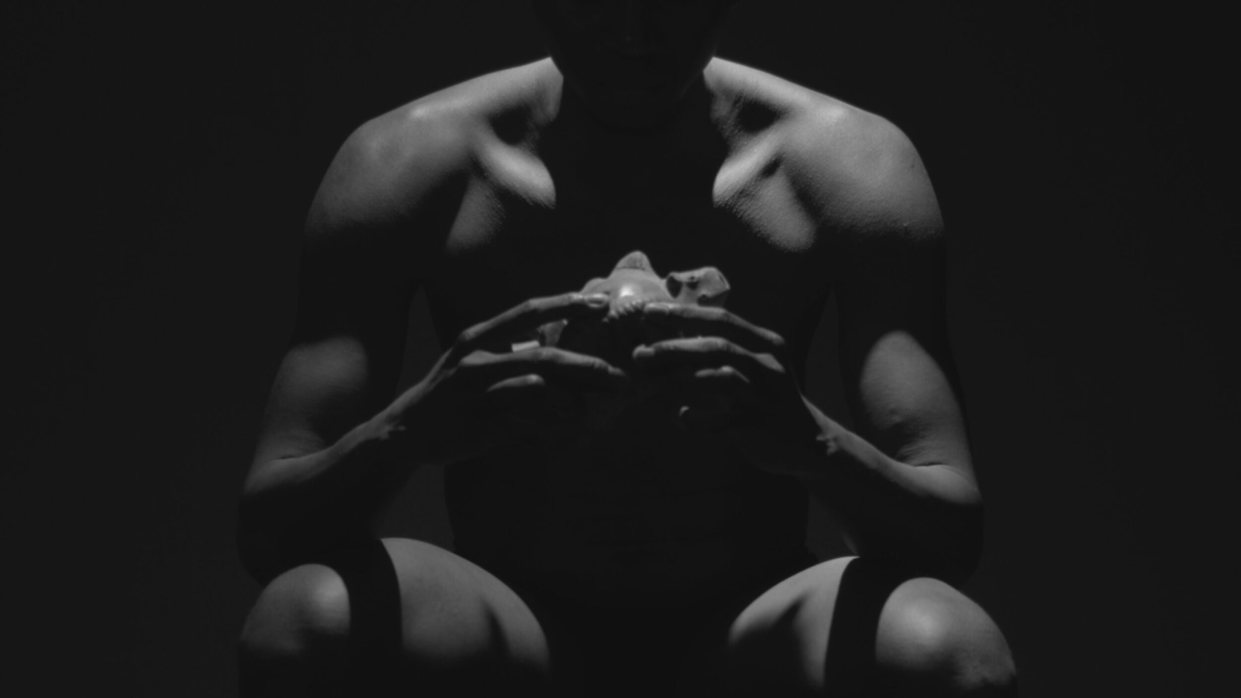 Misurgia Sisitlallan - Vir Andres Hera