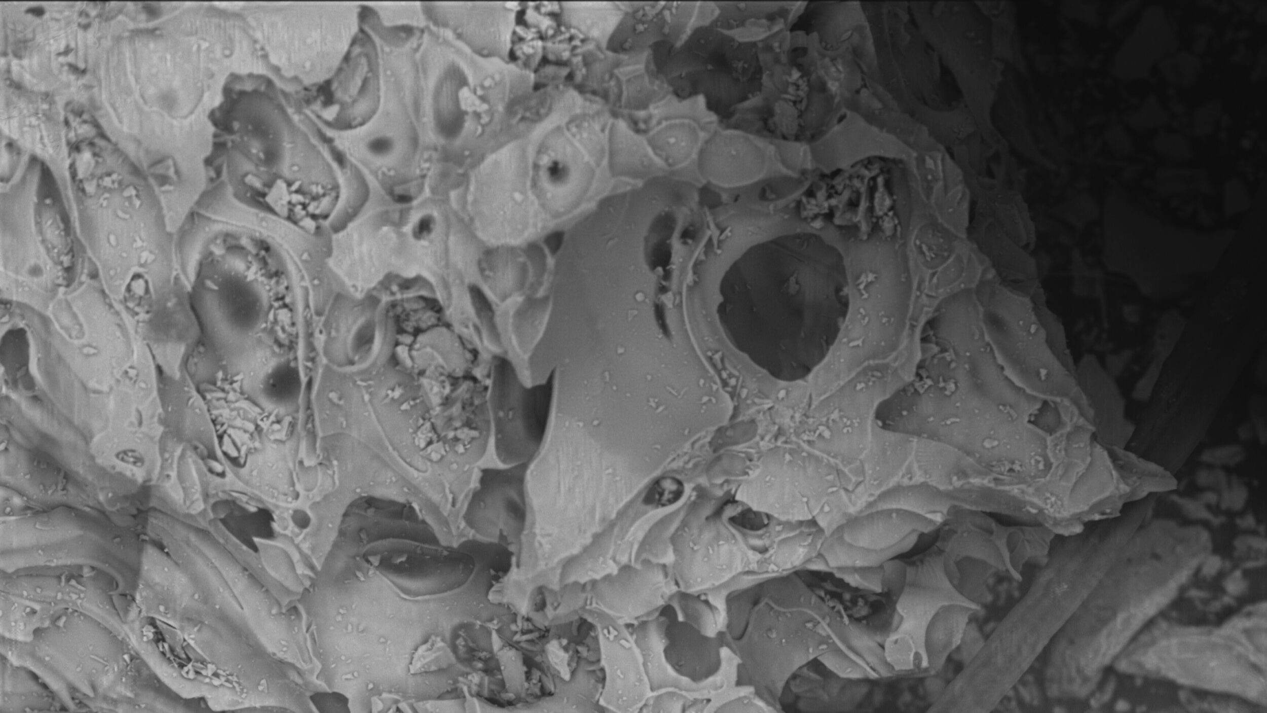 Misurgia Sisitlallan - Vir Andres Hera