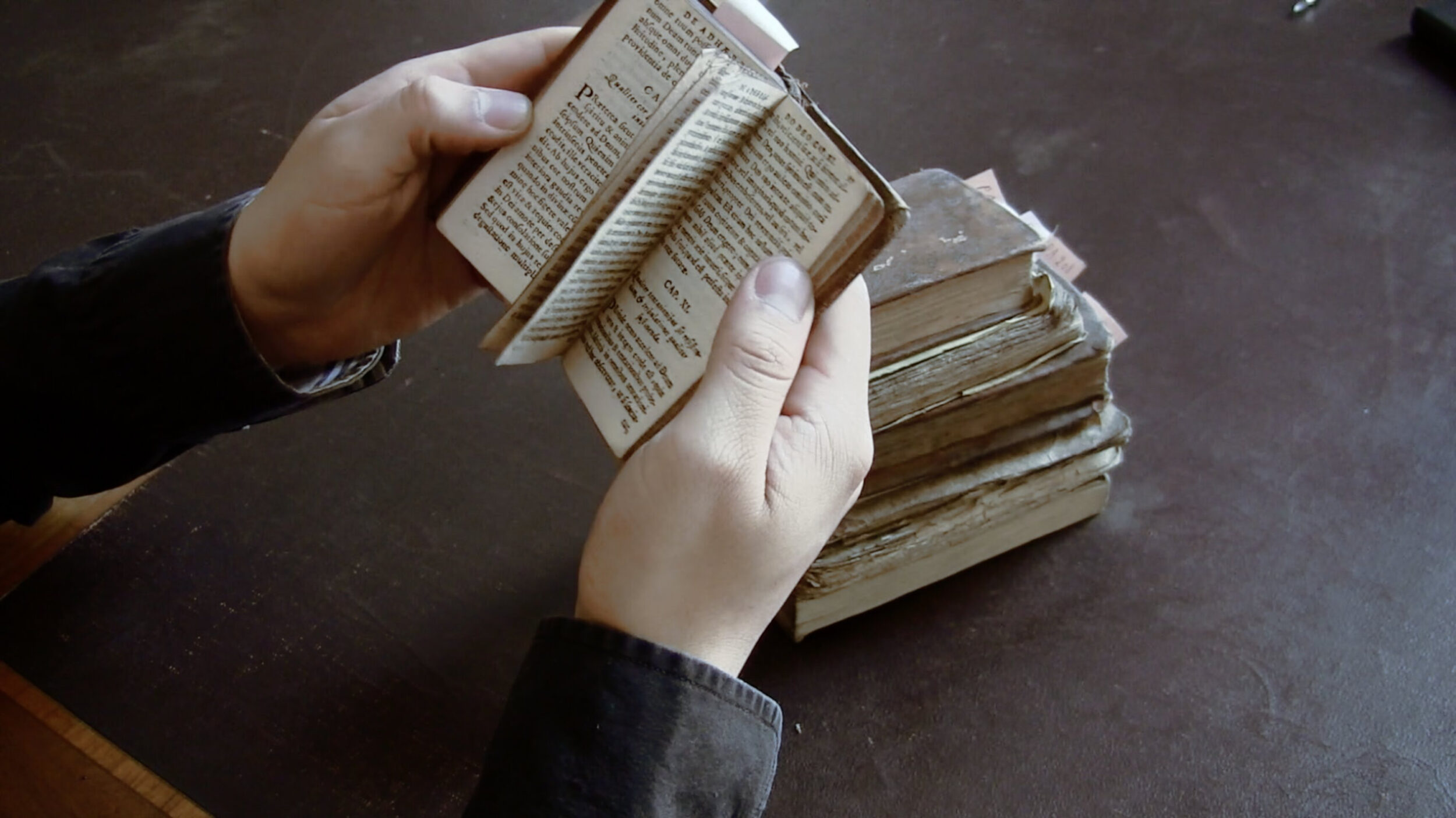 Seconde Jeunesse - Vir Andres Hera