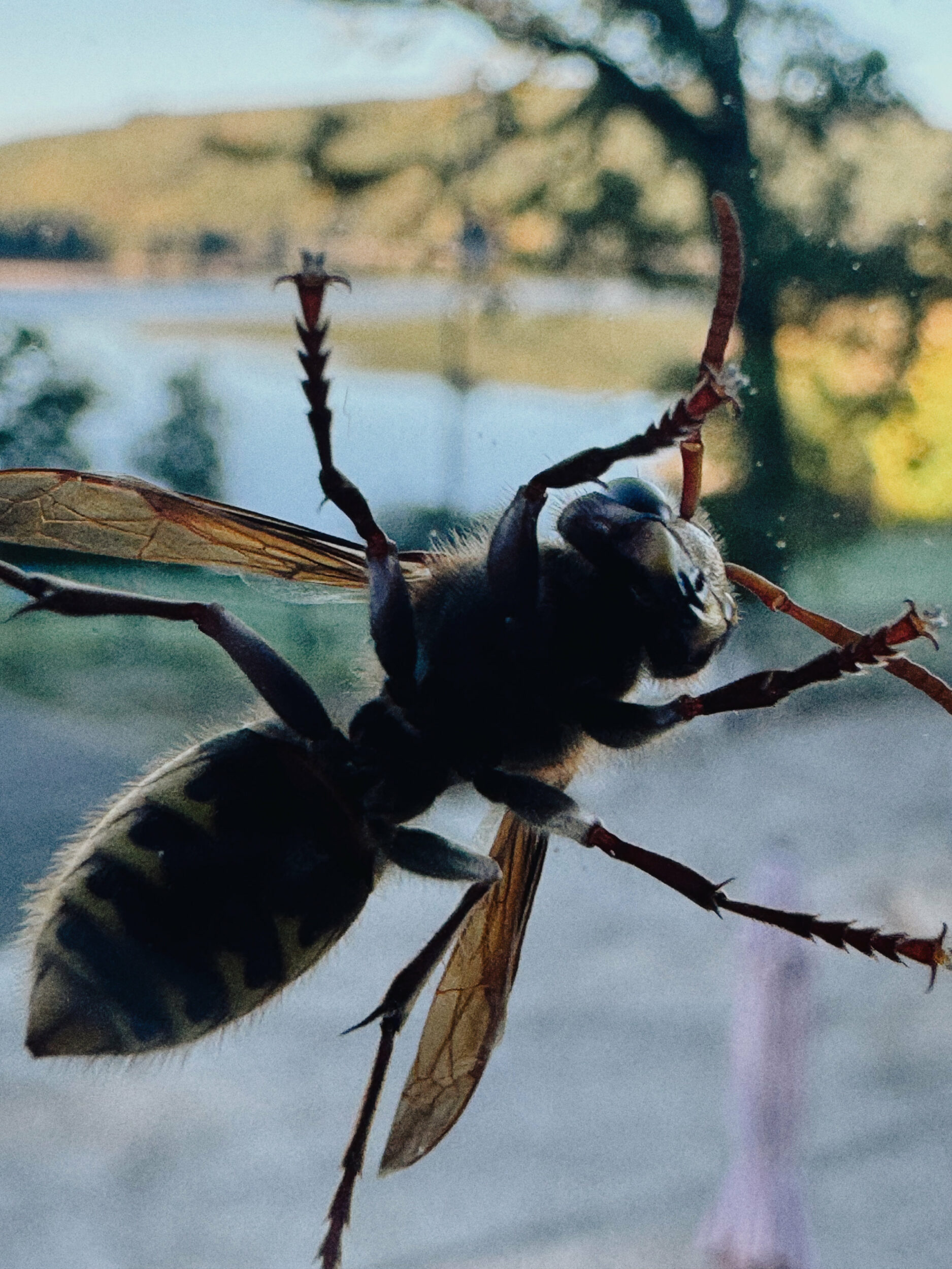 A Room of One’s Ghosts - Vir Andres Hera