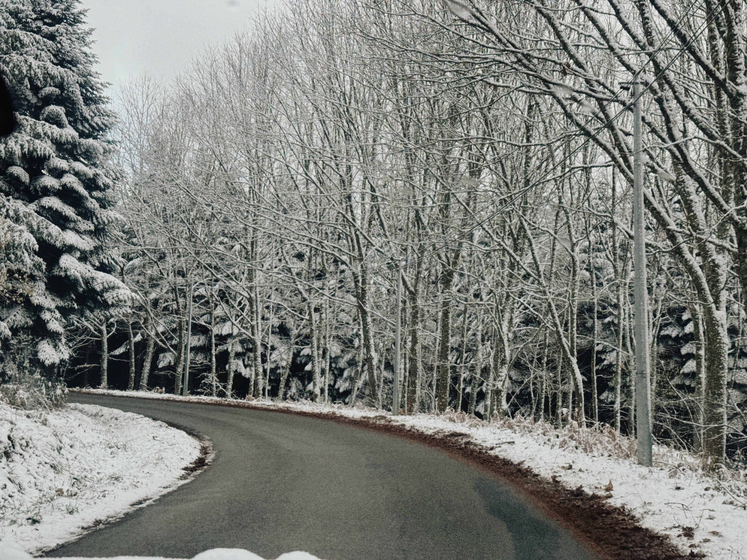 A Room of One’s Ghosts - Vir Andres Hera