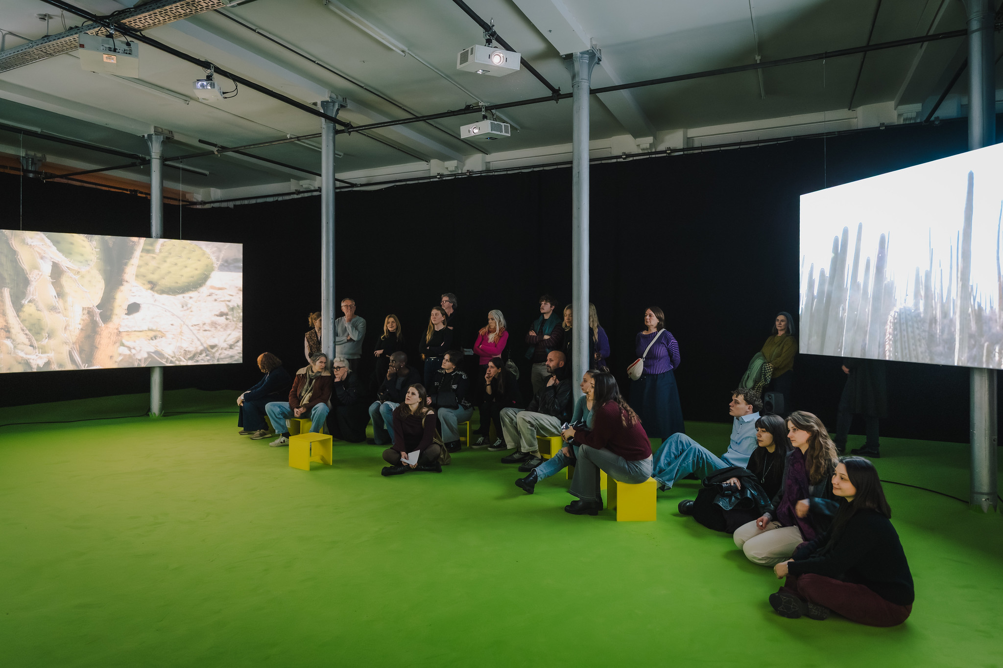 Grind Grind Grind, Release - Vir Andres Hera