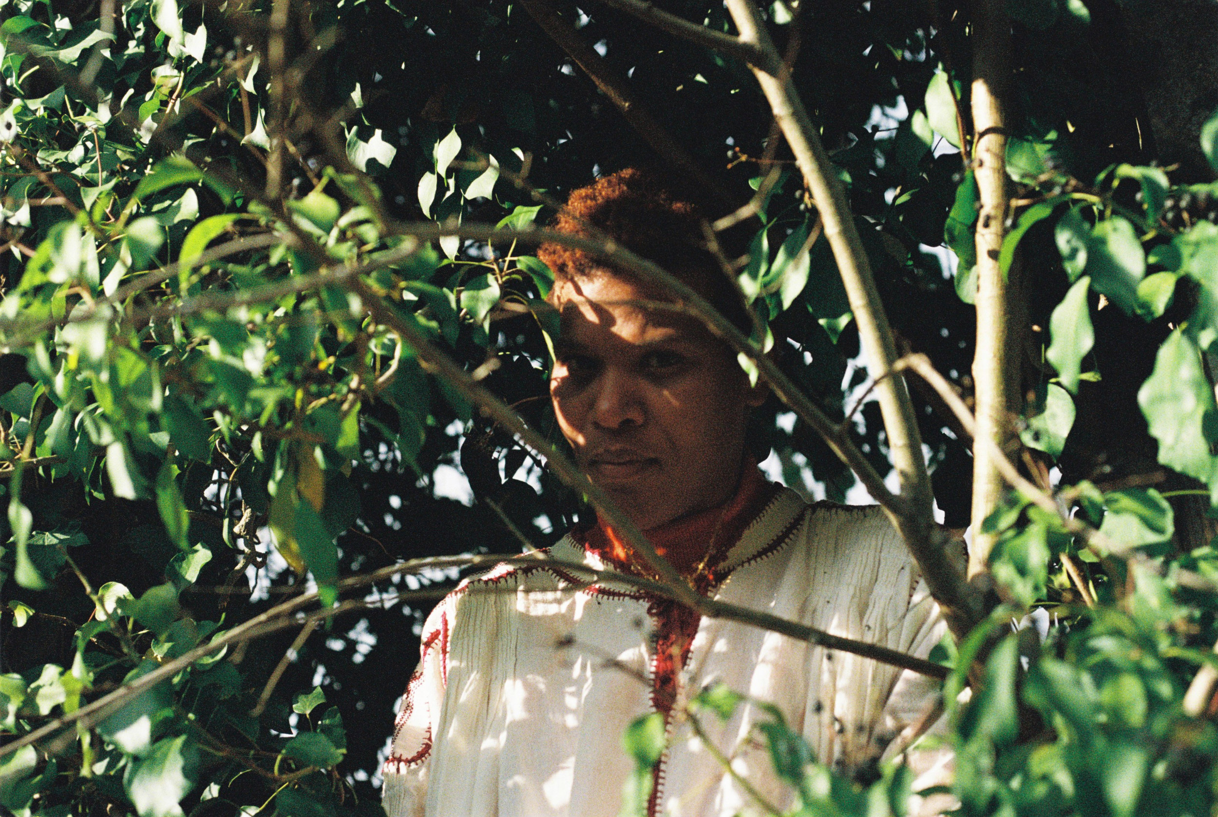 They Listen - Vir Andres Hera