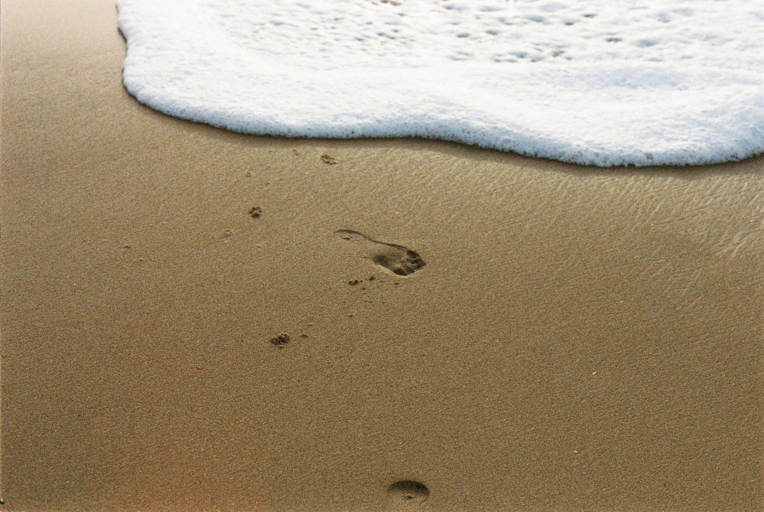 A Composition in the Ruins - Vir Andres Hera