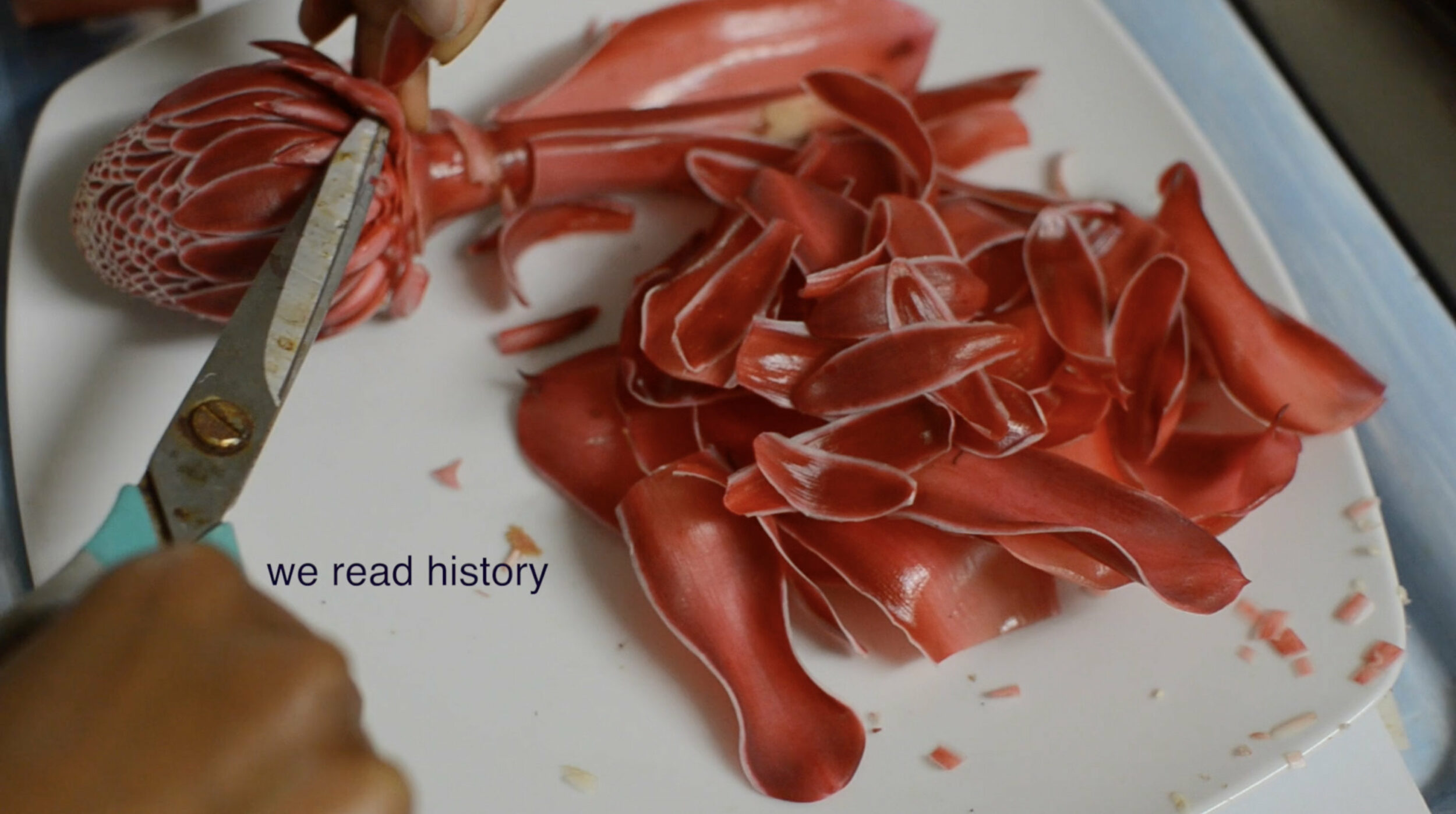 Cartilages, Archipels - Vir Andres Hera