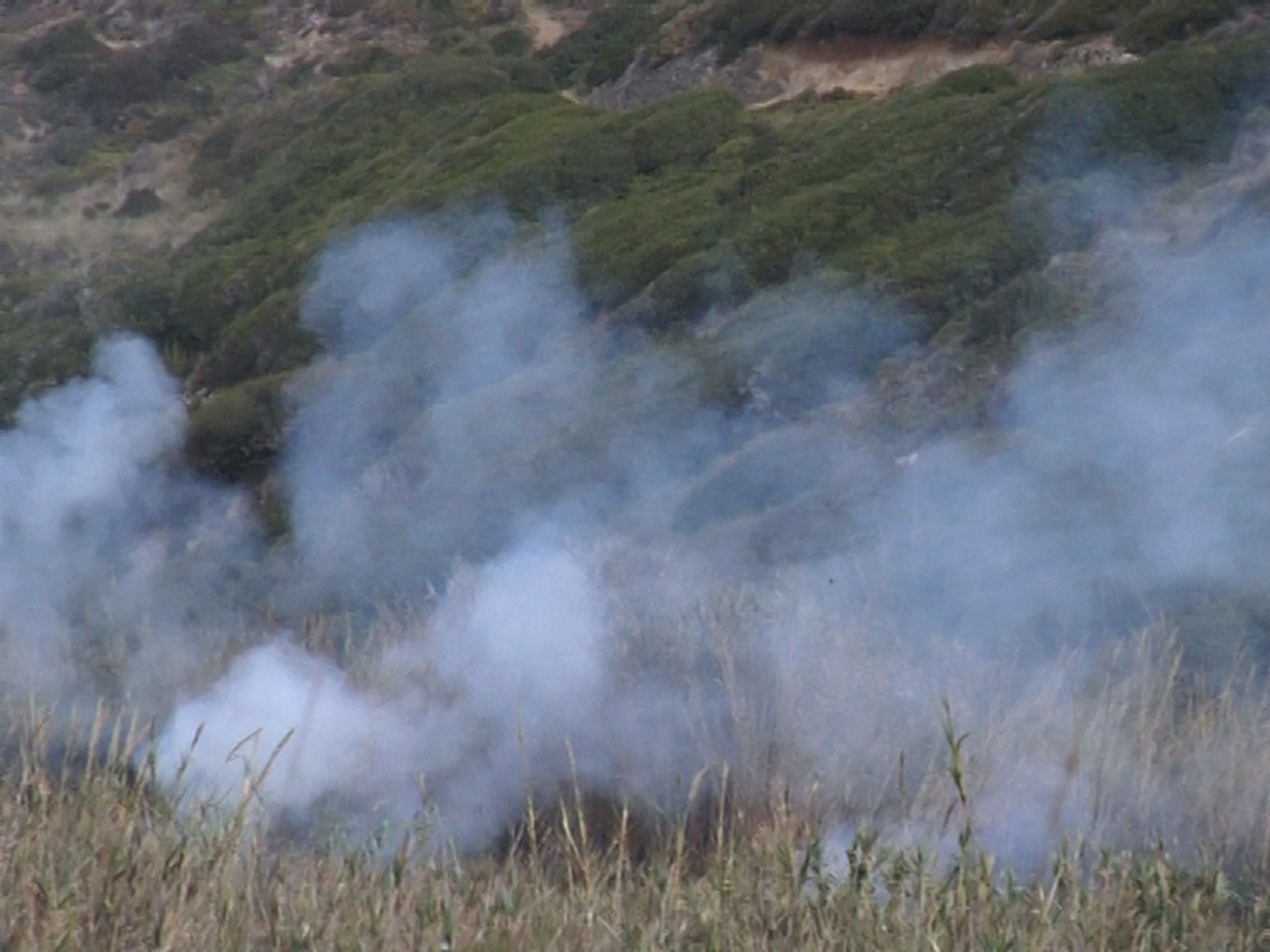 A Composition in the Ruins - Vir Andres Hera