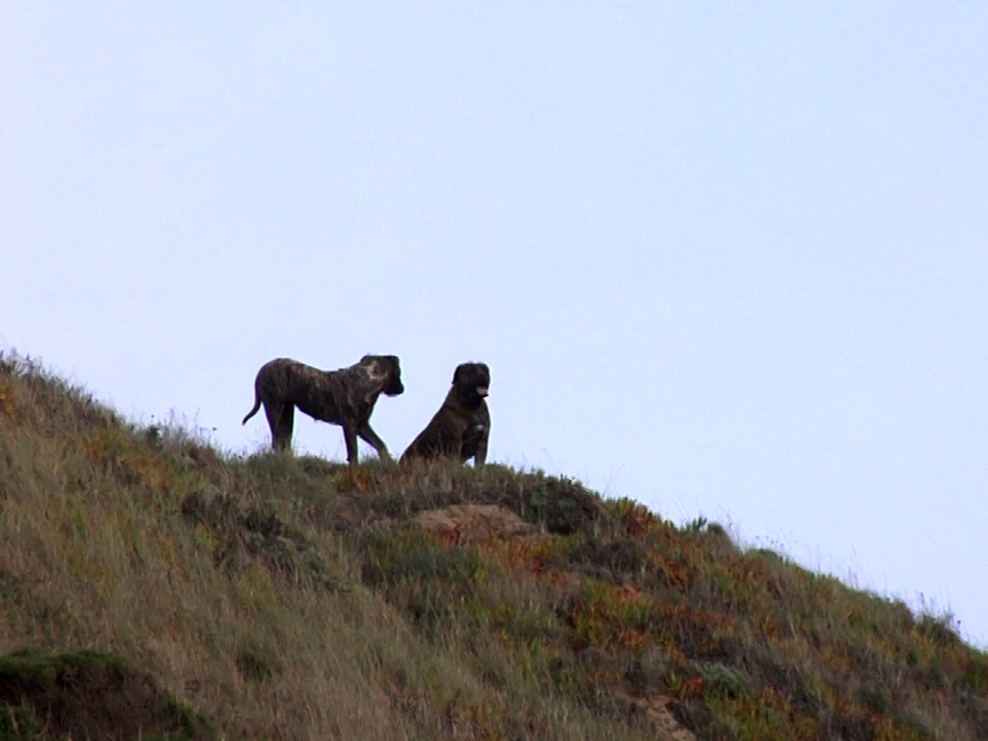 A Composition in the Ruins - Vir Andres Hera