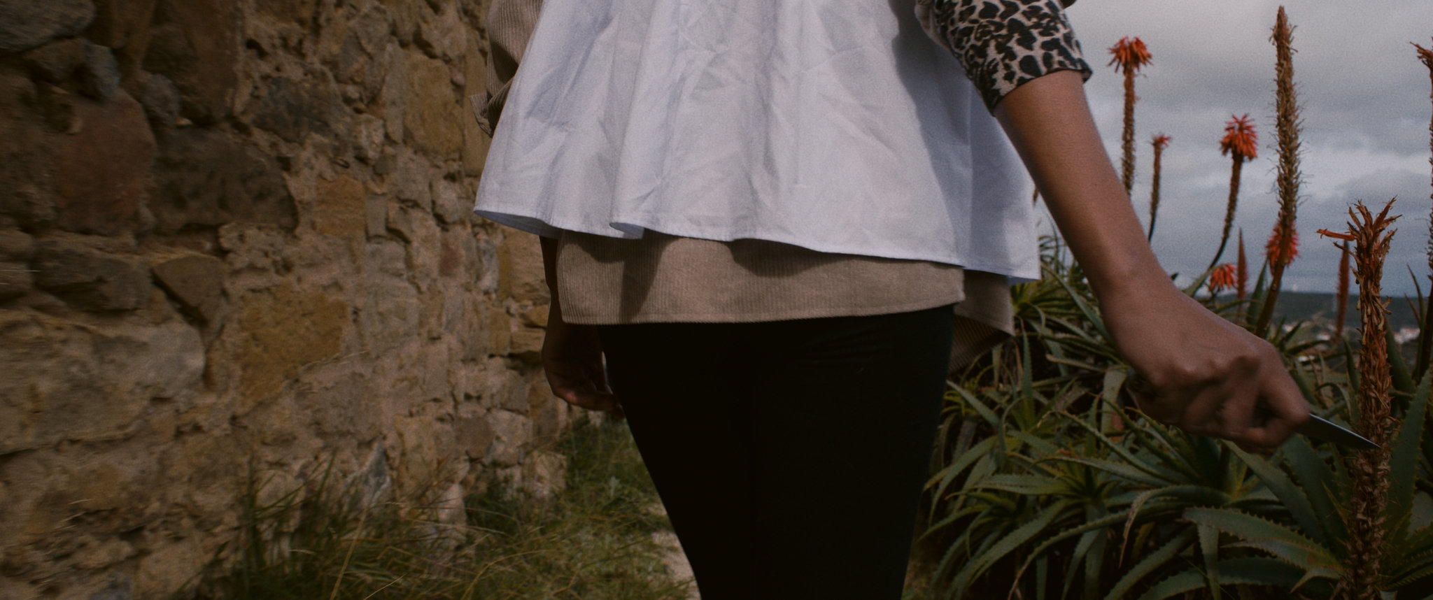 Language(s) of the pythia, oracular images, transtemporal bodies - Vir Andres Hera