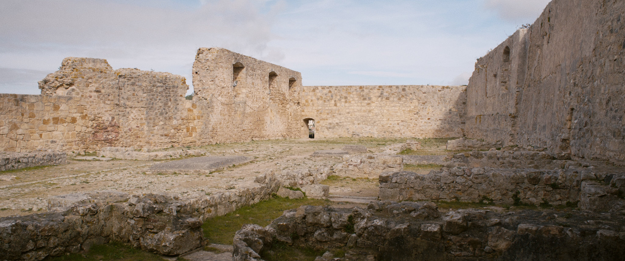 Language(s) of the pythia, oracular images, transtemporal bodies - Vir Andres Hera