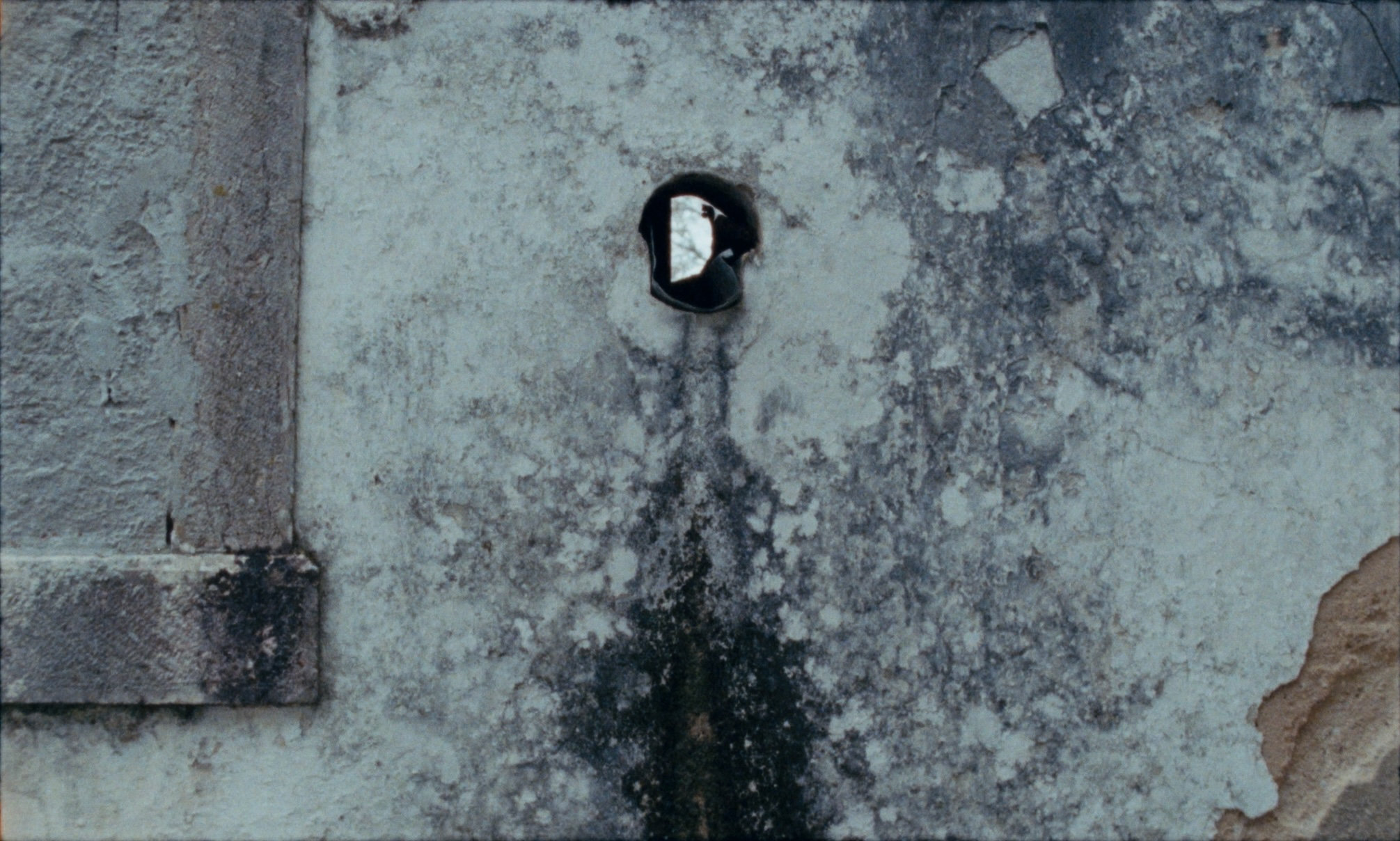 They Listen - Vir Andres Hera