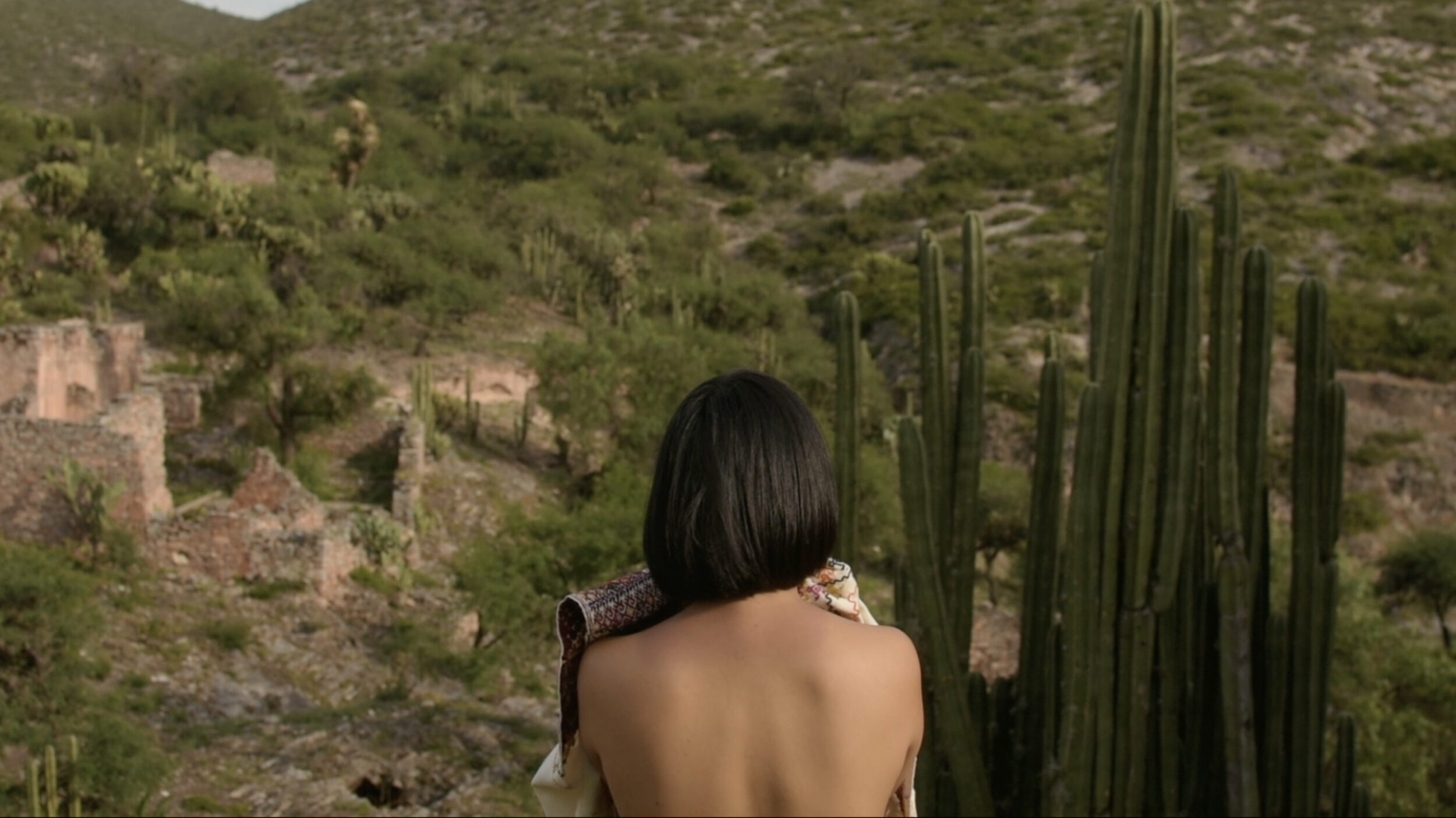 Cartilages, Archipels - Vir Andres Hera