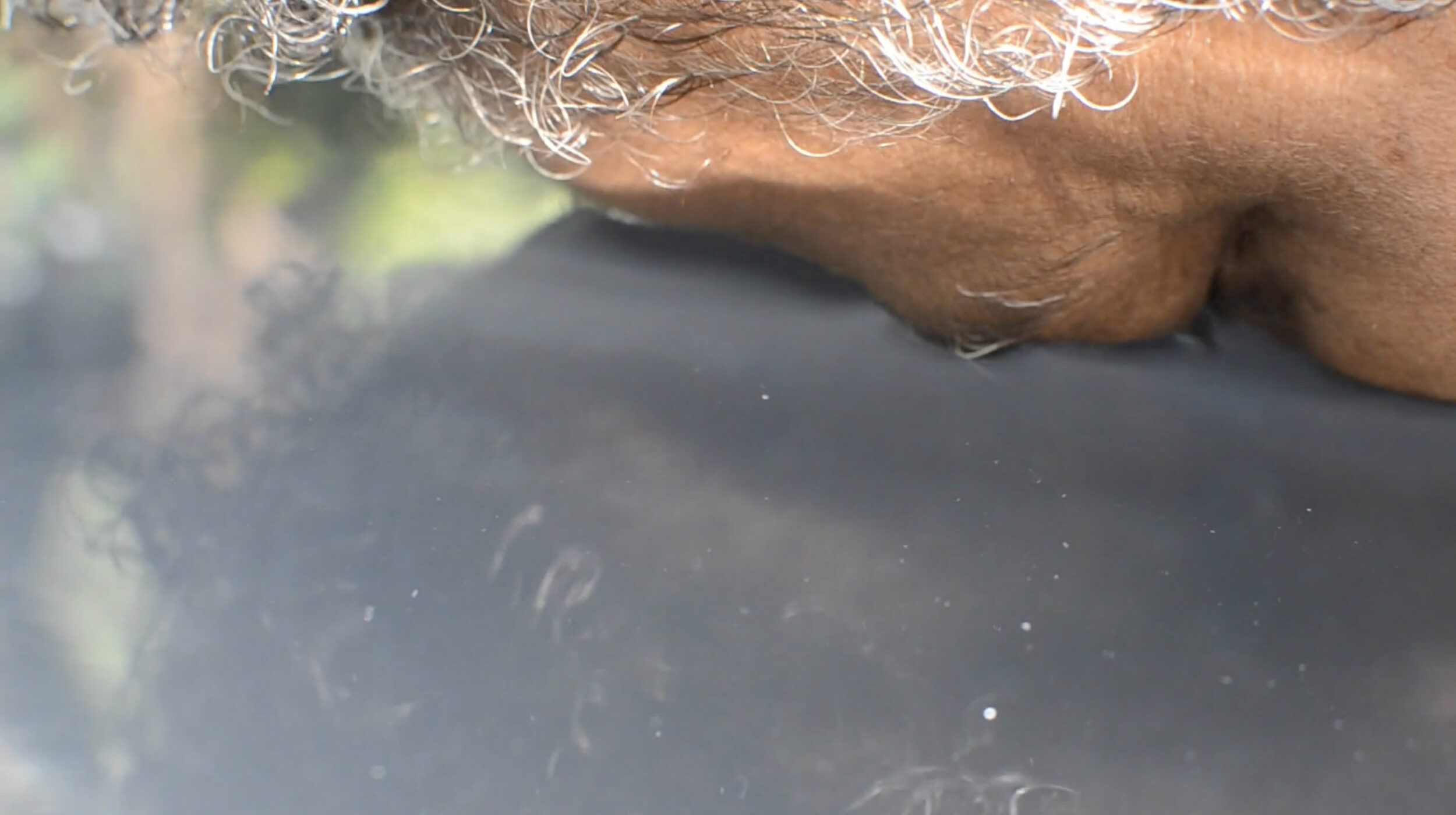 Cartilages, Archipels - Vir Andres Hera