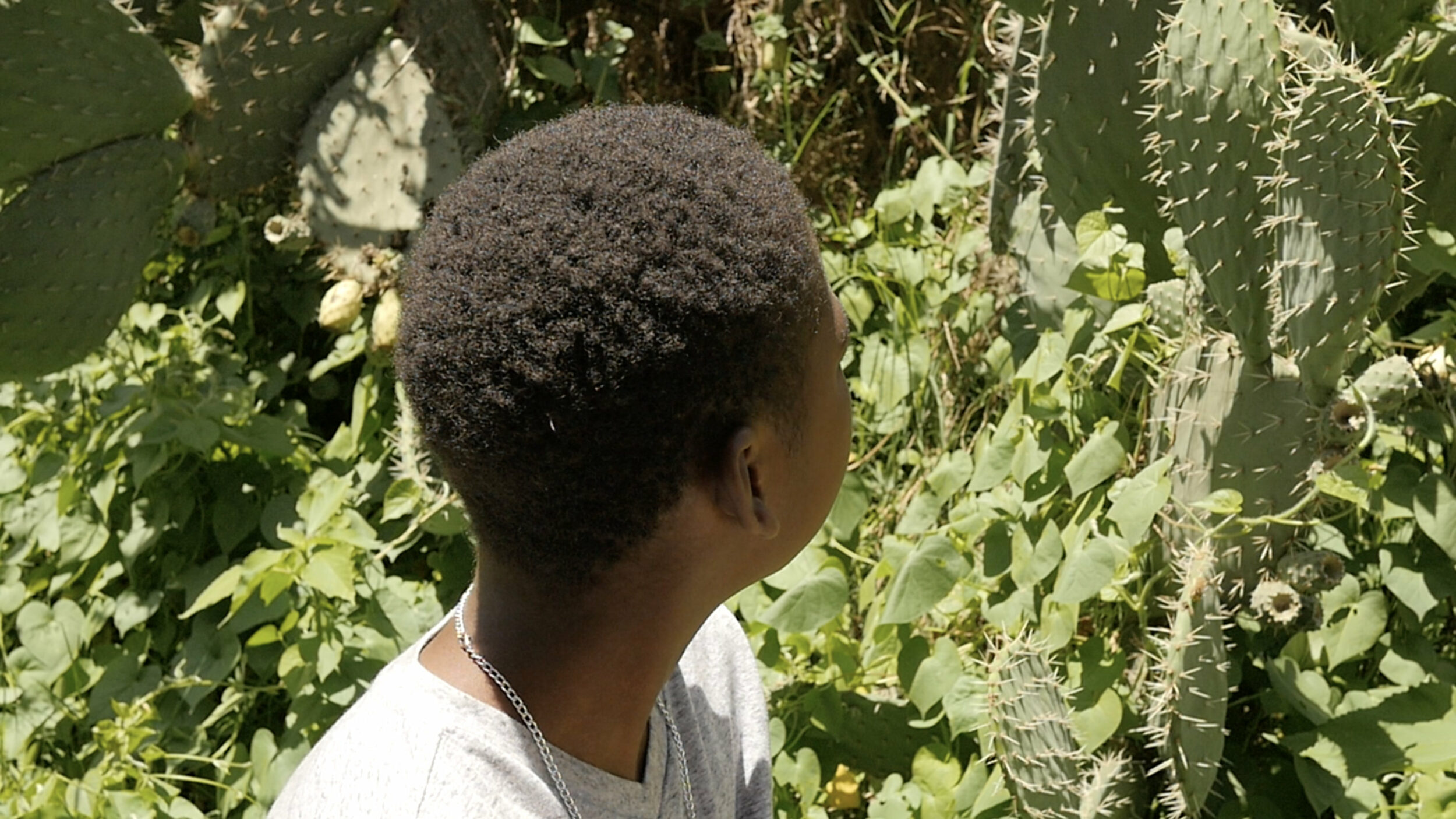 Cartilages, Archipels - Vir Andres Hera