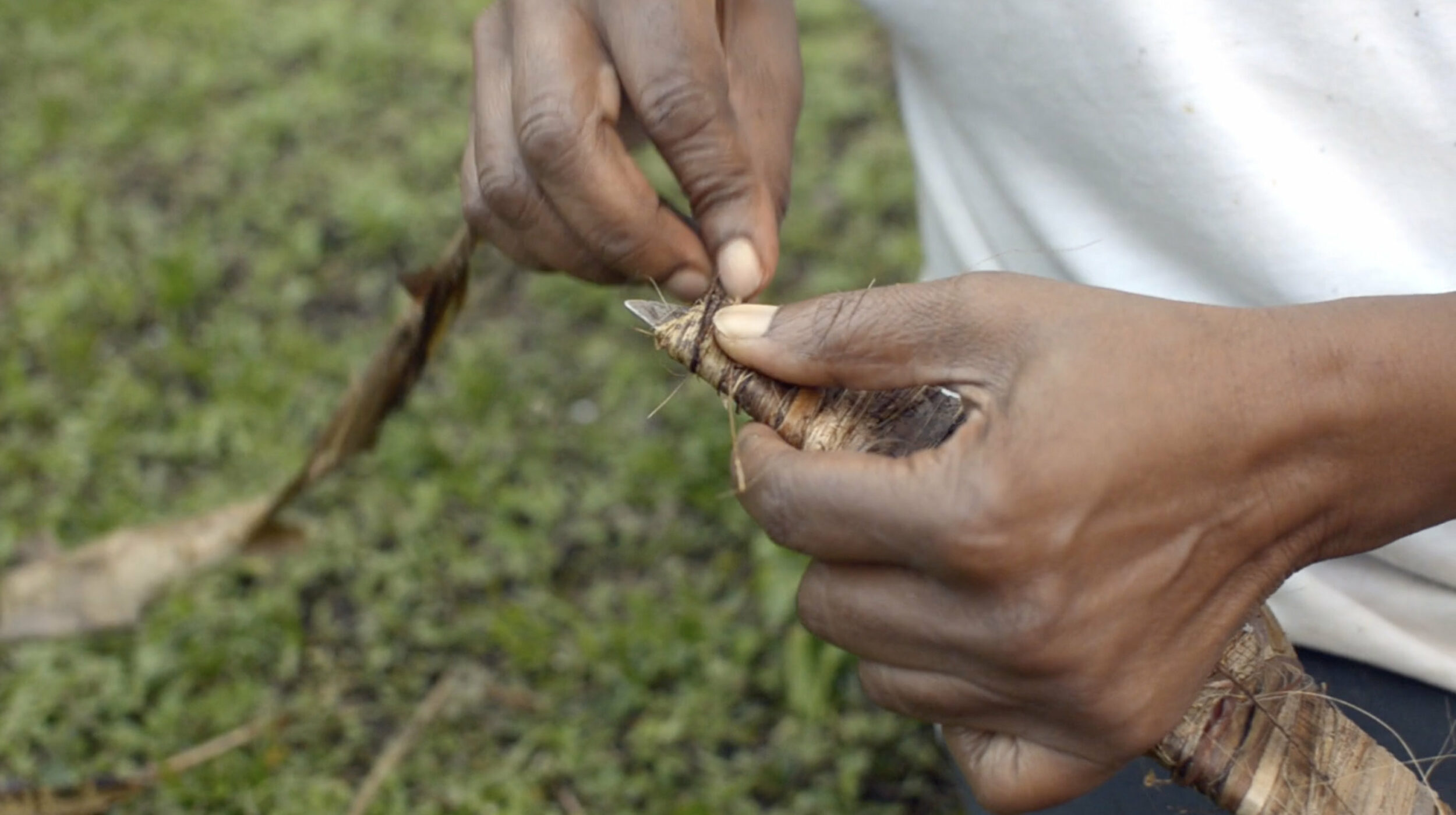 Cartilages, Archipels - Vir Andres Hera