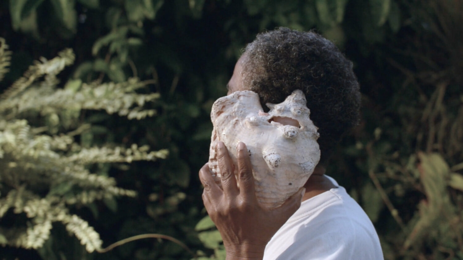 Cartilages, Archipels - Vir Andres Hera