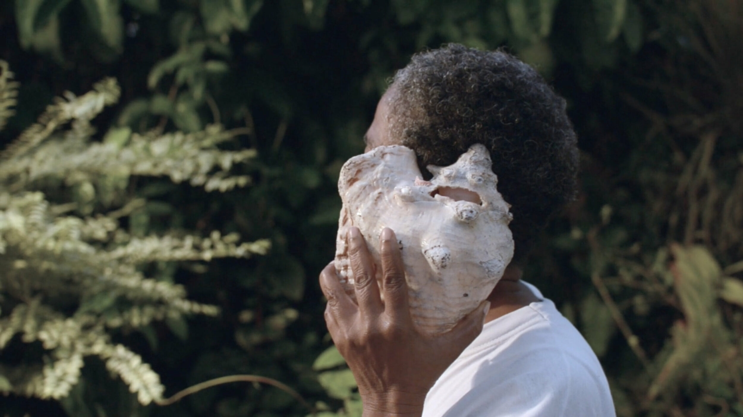 Cartilages, Archipels - Vir Andres Hera