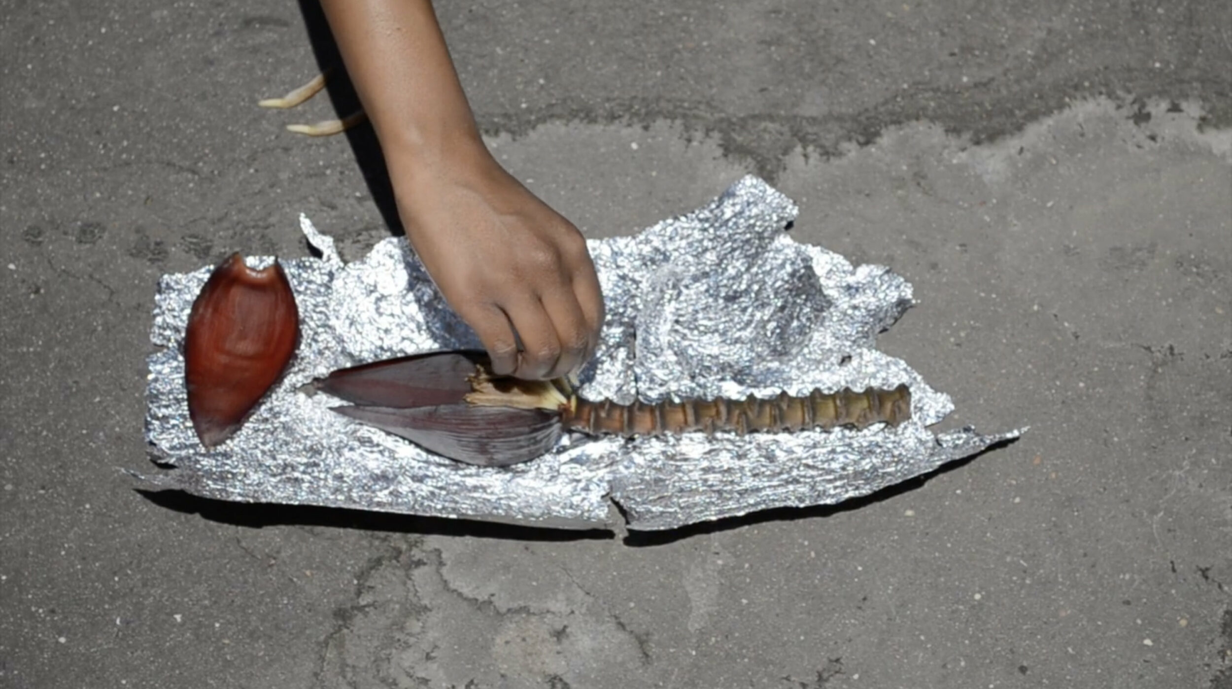 Cartilages, Archipels - Vir Andres Hera