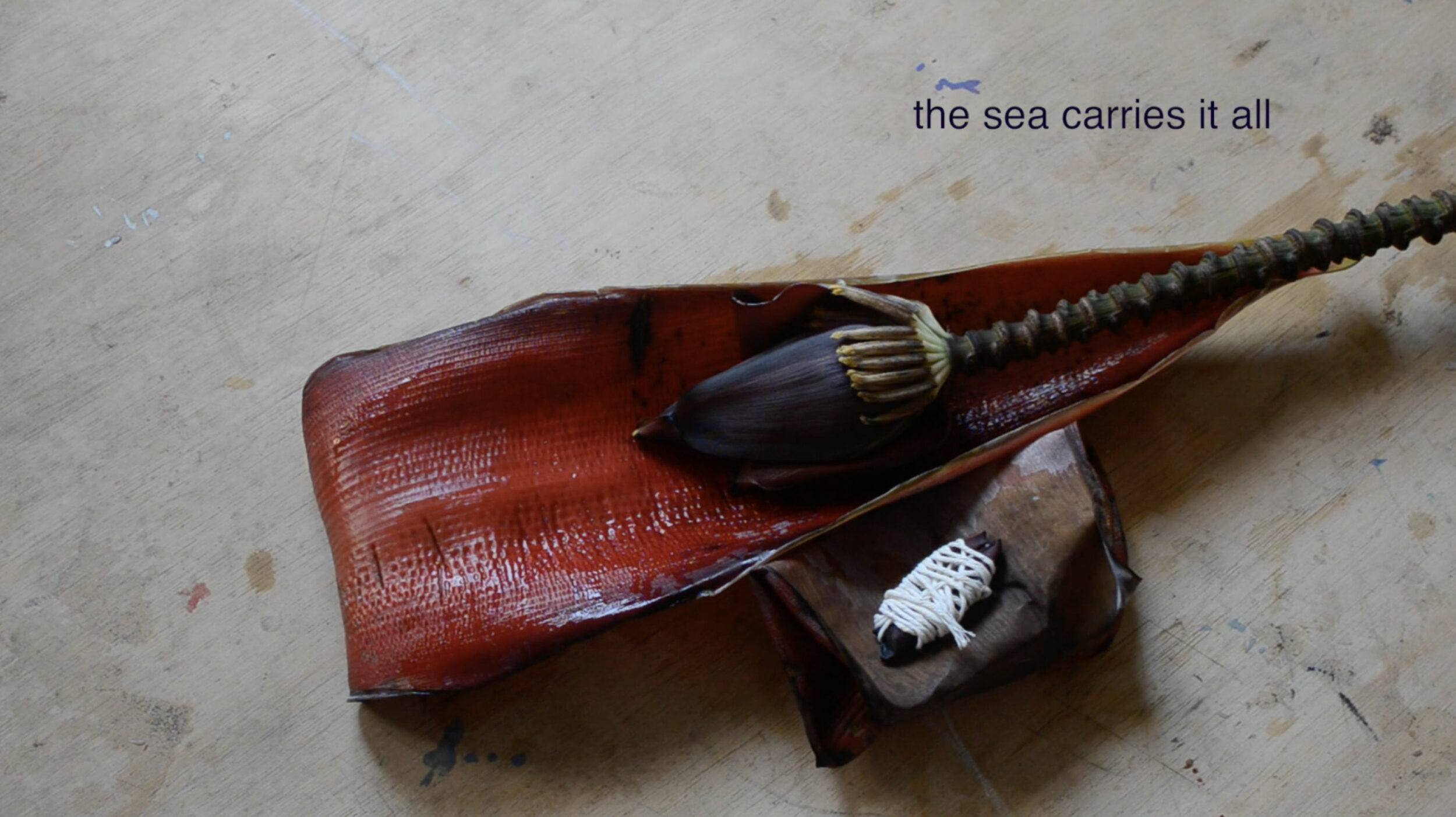 Cartilages, Archipels - Vir Andres Hera