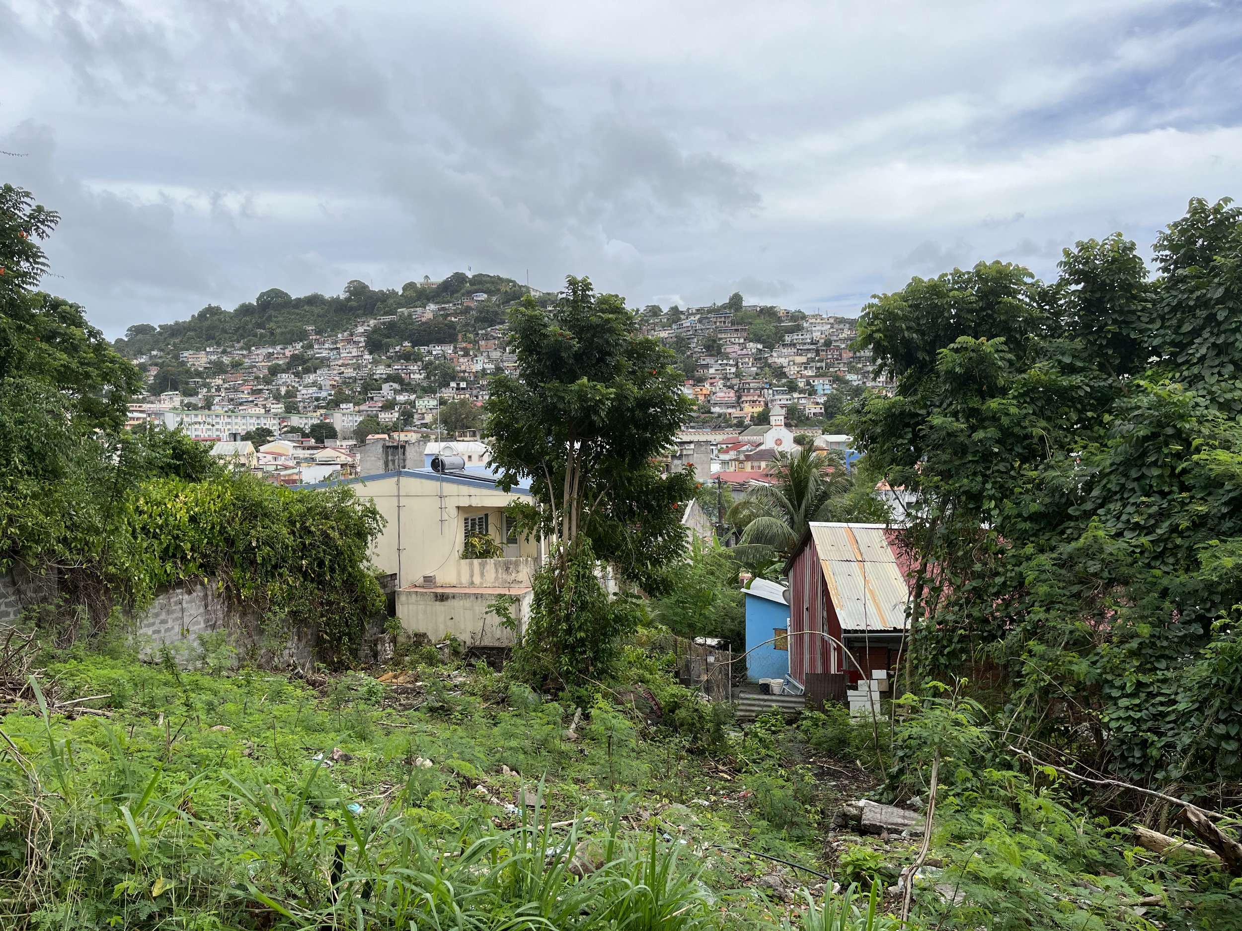 Meeting Points - Vir Andres Hera