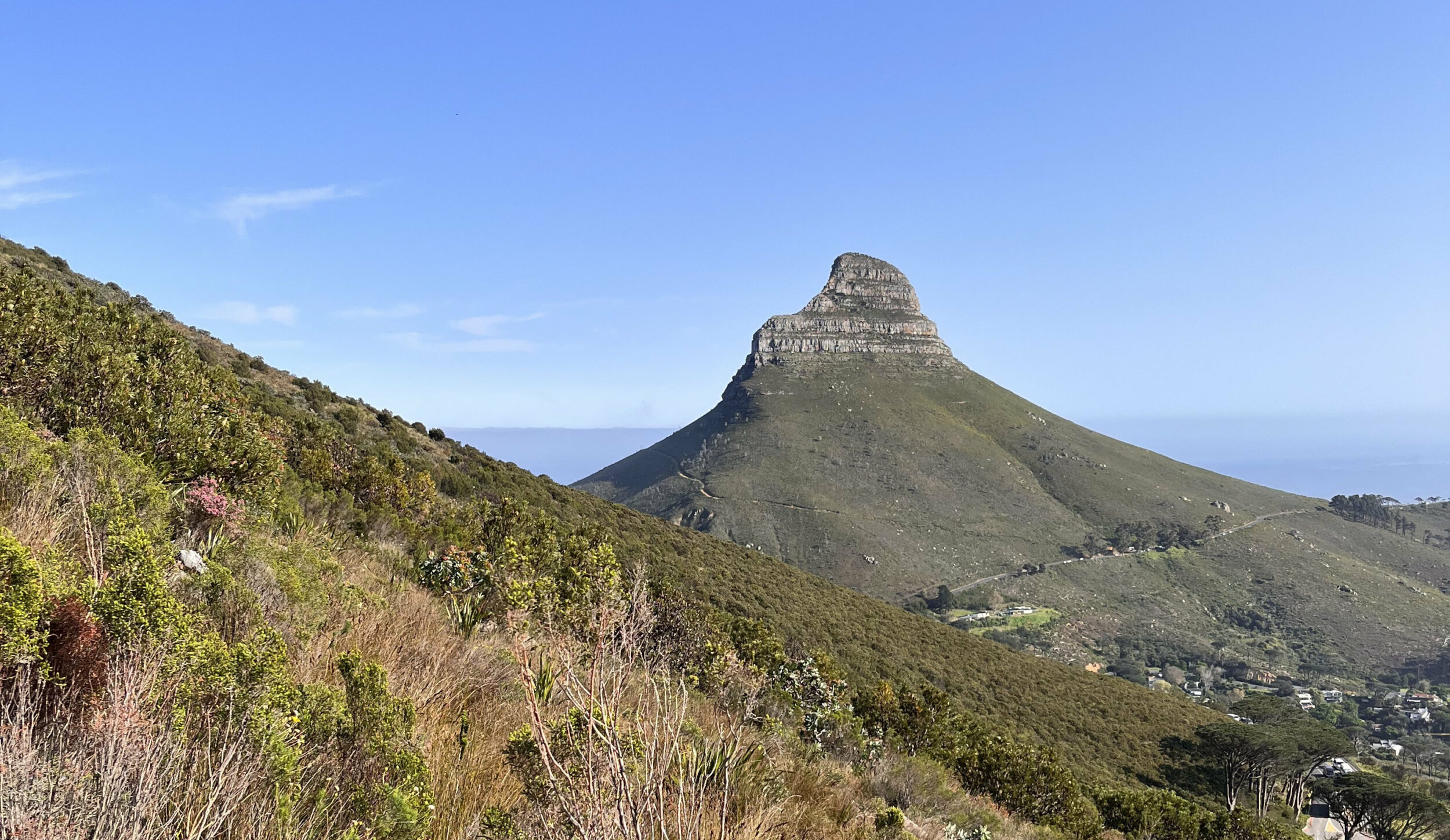 Los Coyotes Entraron en su Siglo - Vir Andres Hera