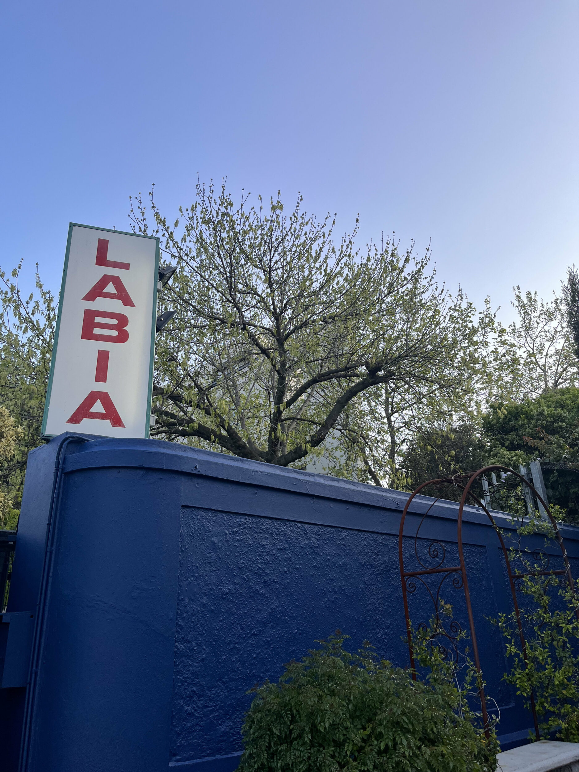 Los Coyotes Entraron en su Siglo - Vir Andres Hera