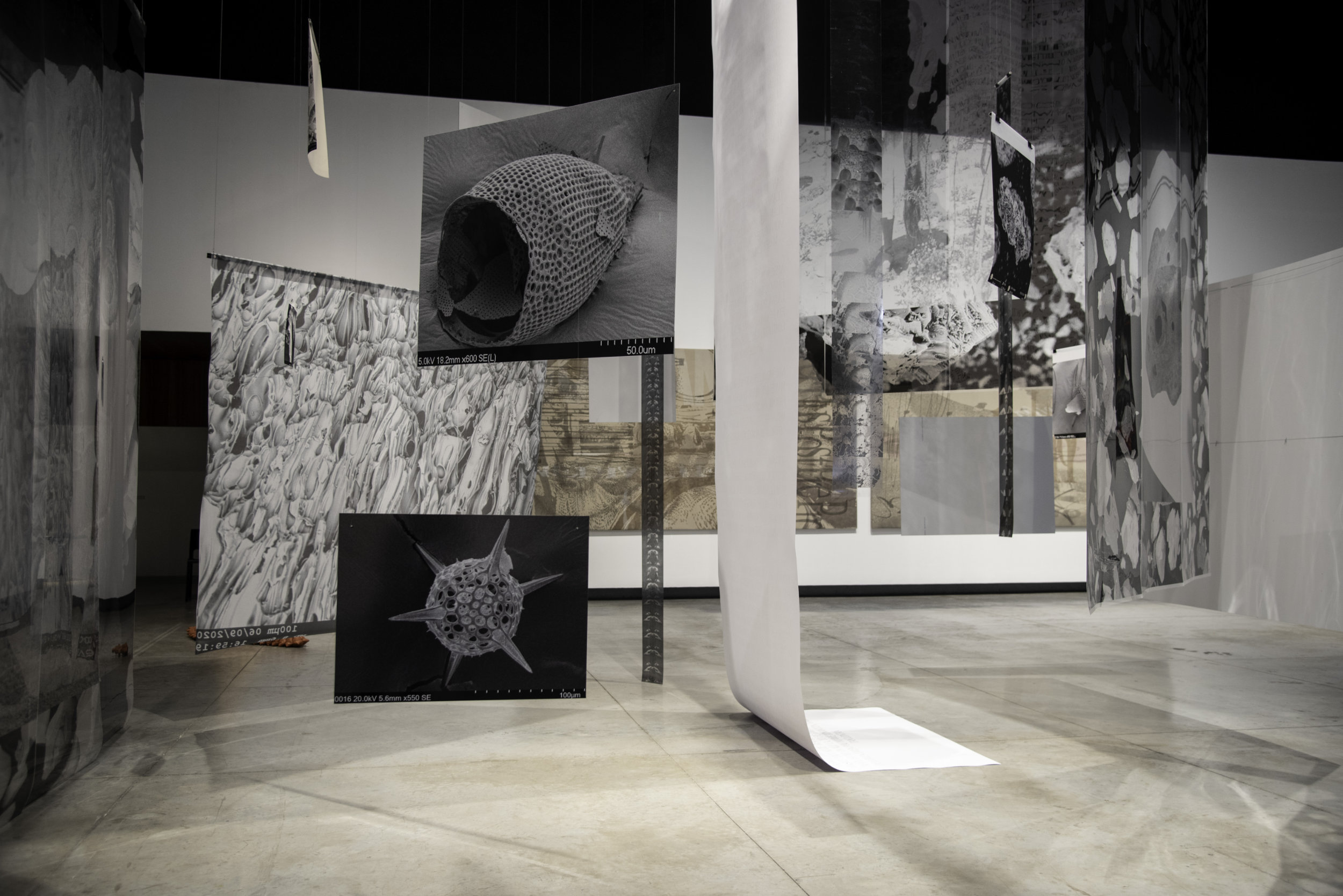 Relaciones Bakhtinianas - Vir Andres Hera