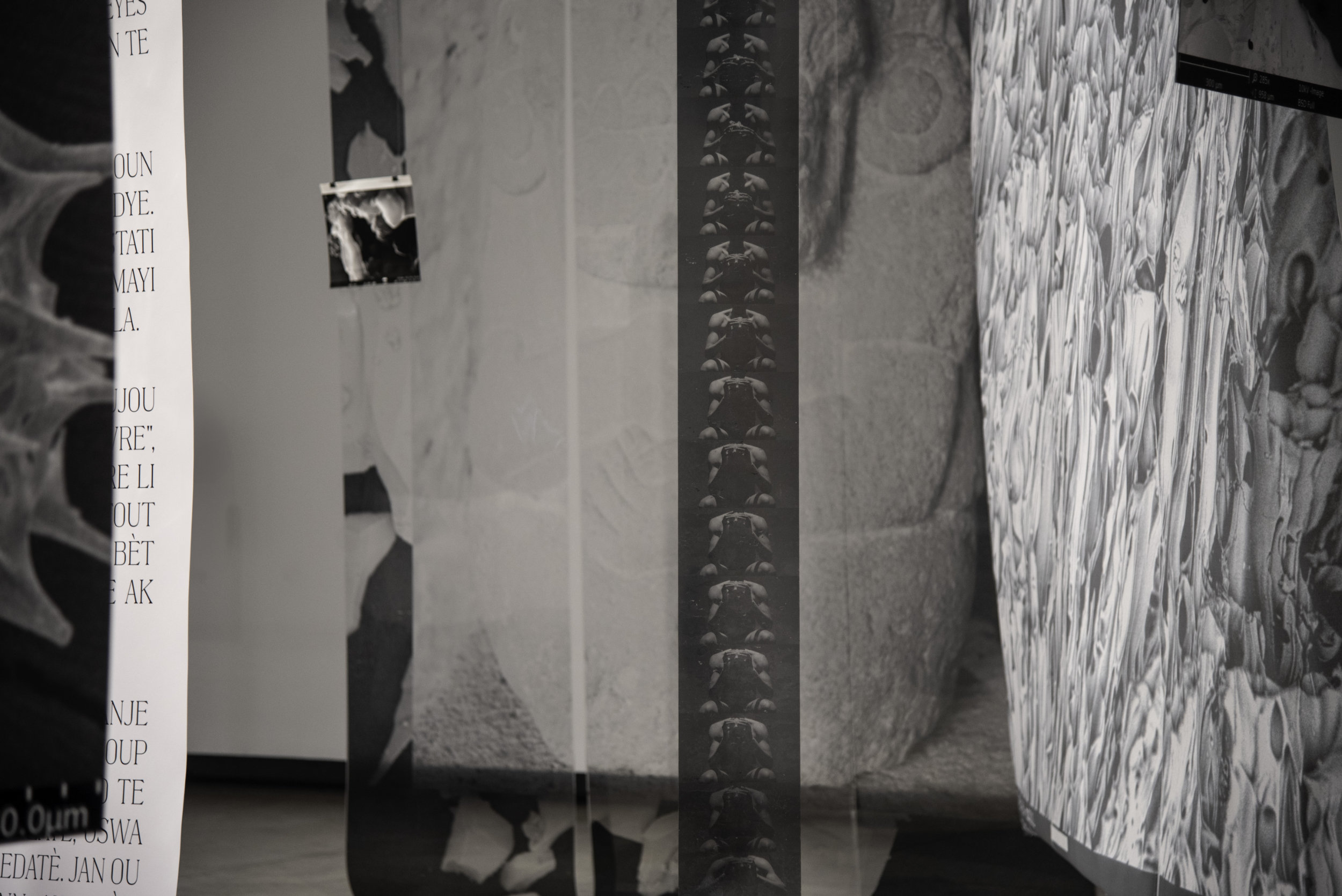 Relaciones Bakhtinianas - Vir Andres Hera