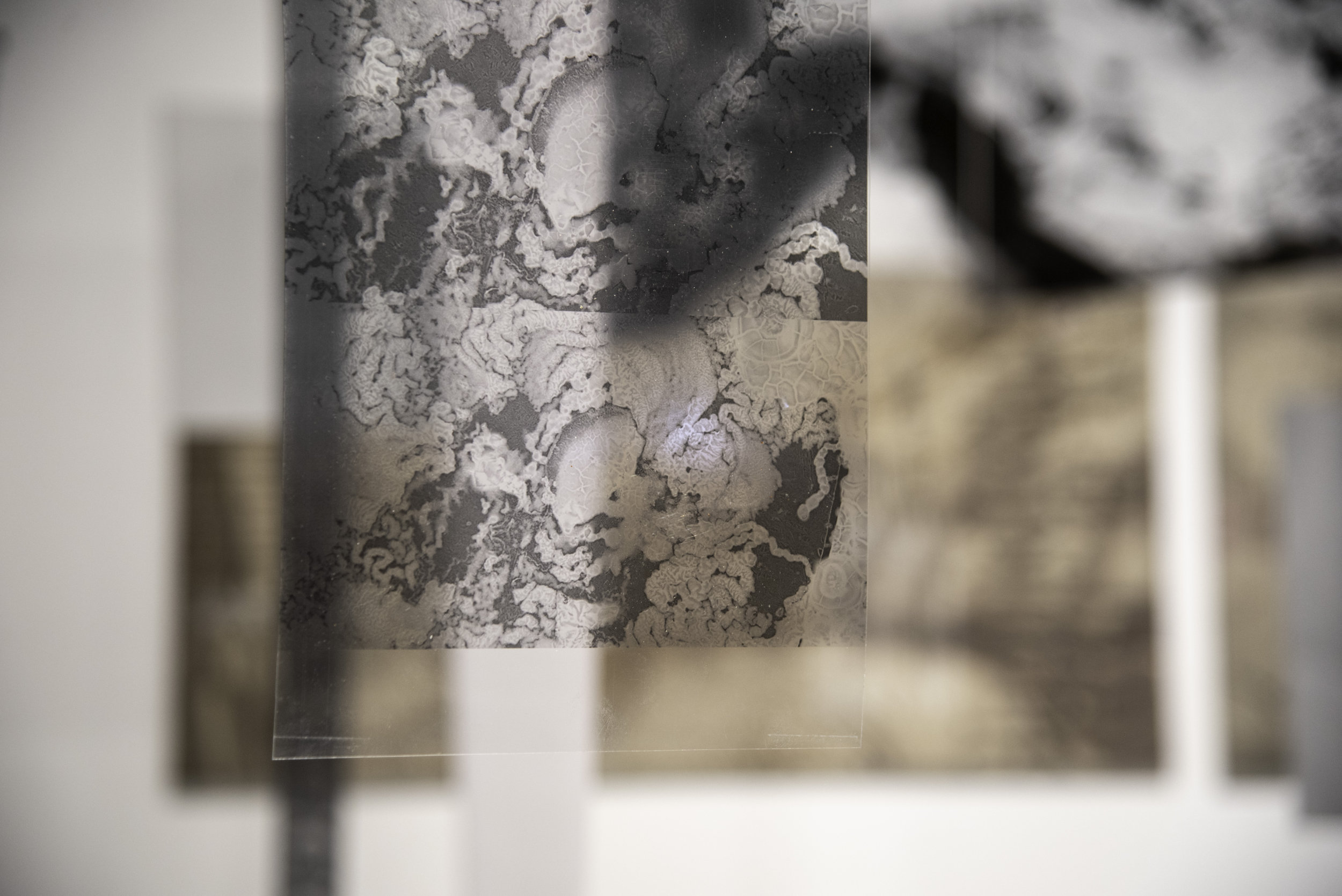 Relaciones Bakhtinianas - Vir Andres Hera