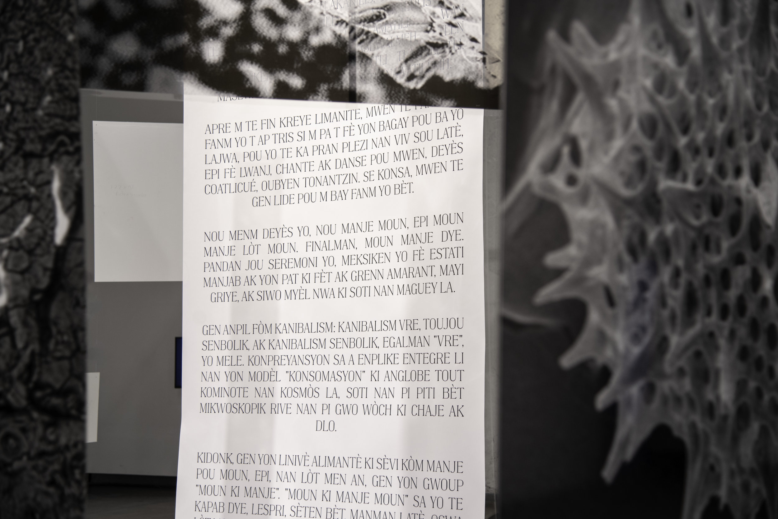 Relaciones Bakhtinianas - Vir Andres Hera