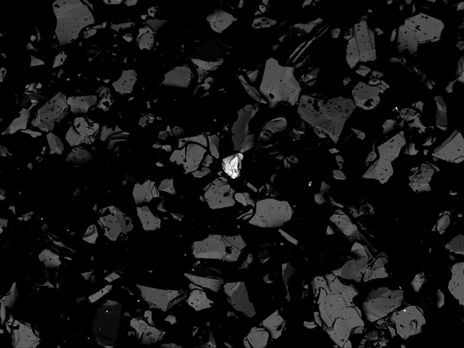 Grasping the Skin of the World - Vir Andres Hera