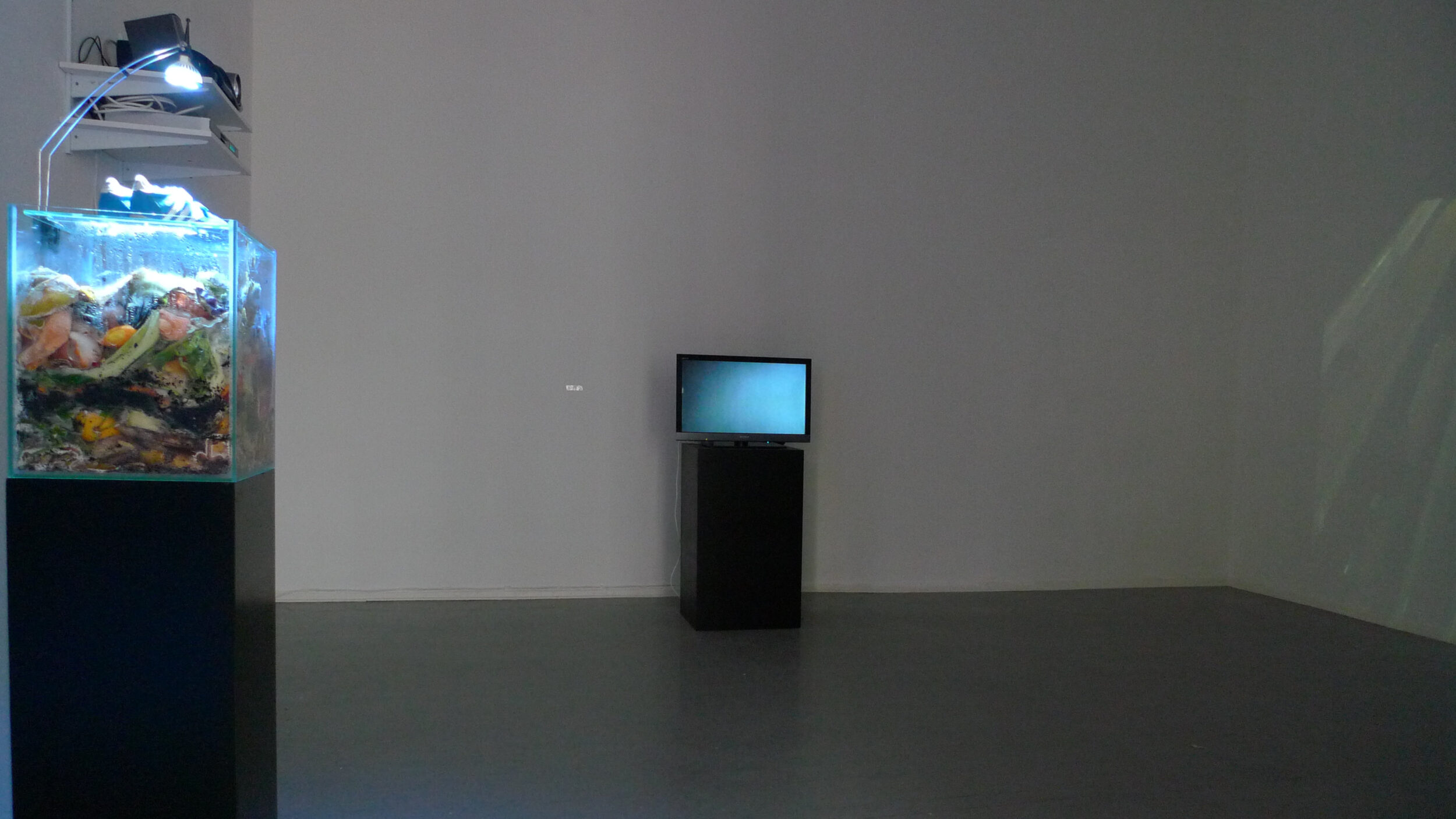 Unsichtbarkeiten – Invisibilités - Vir Andres Hera