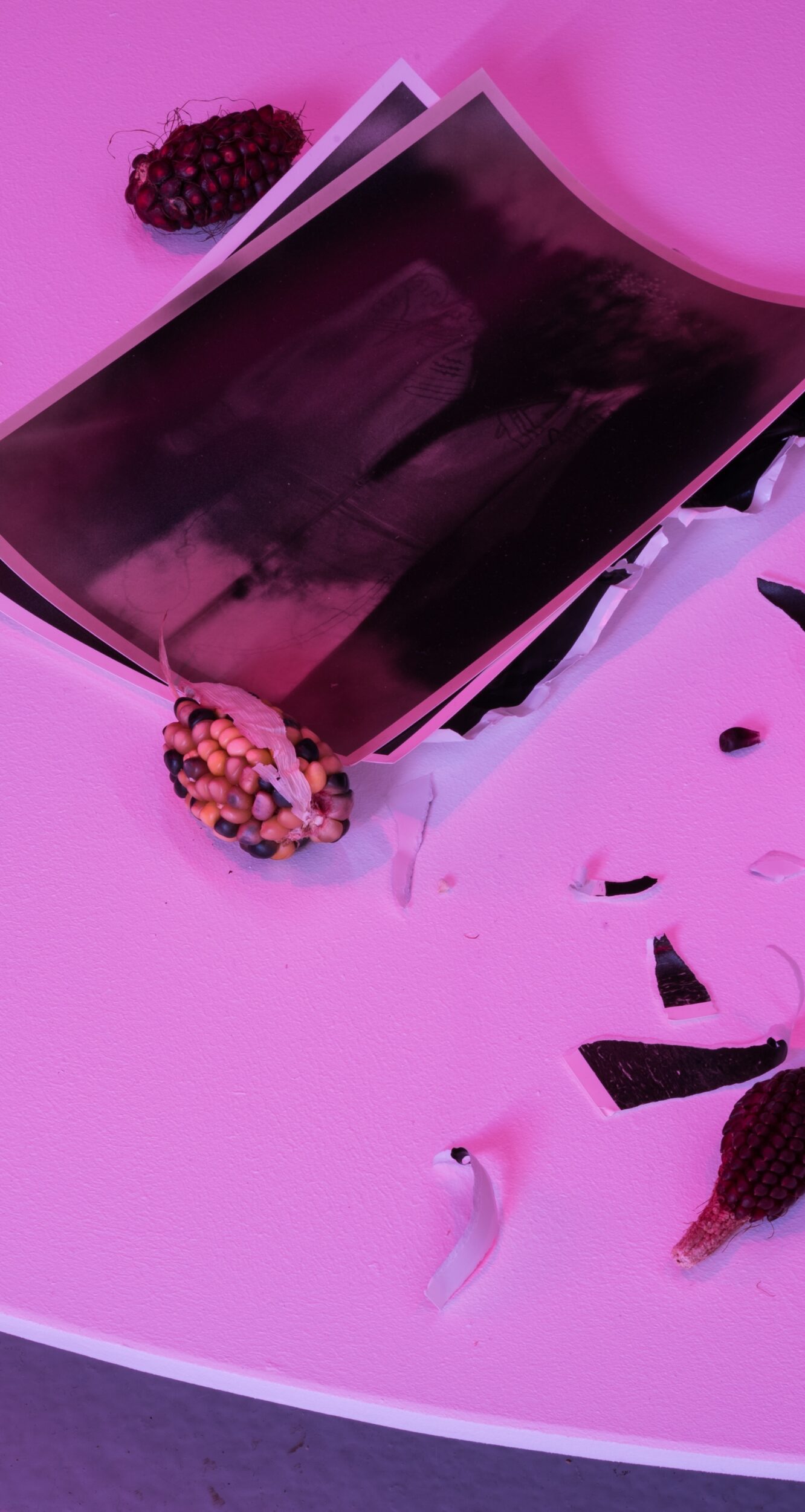 Homepage - Vir Andres Hera