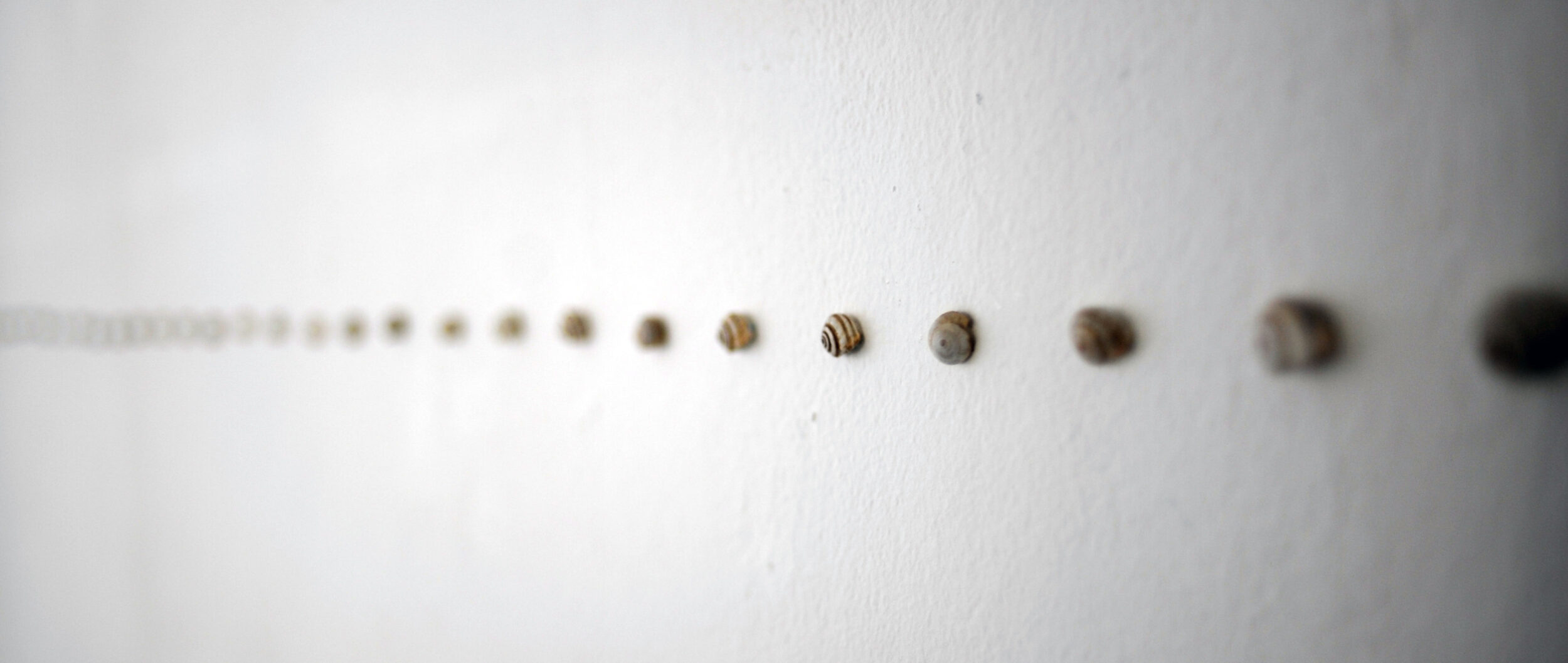 Quelque chose regarde depuis les murs - Vir Andres Hera