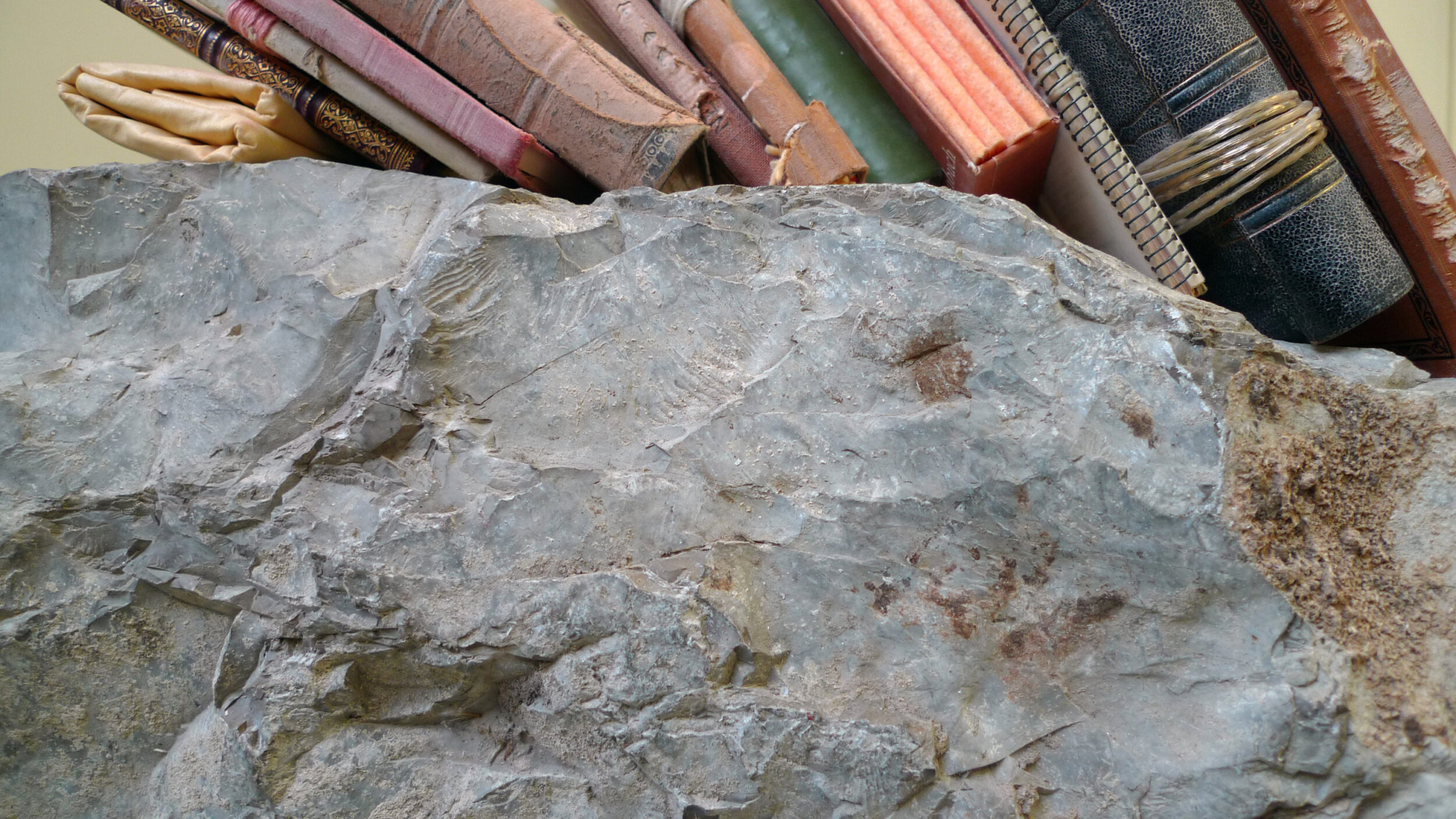 Unsichtbarkeiten – Invisibilités - Vir Andres Hera