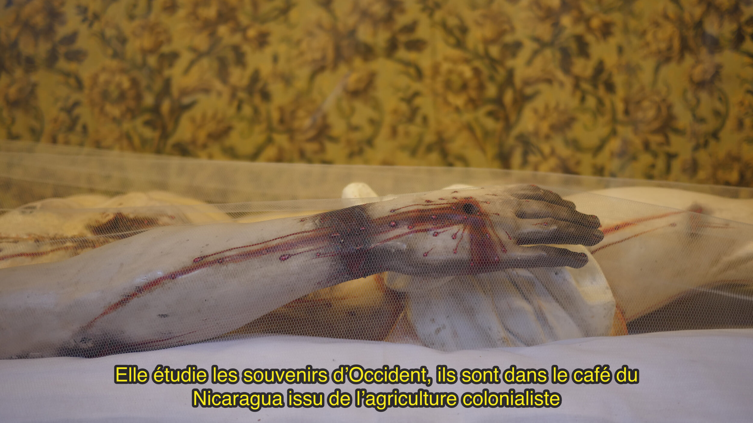 Métèque - Vir Andres Hera