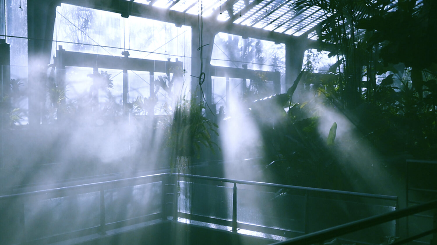 Souvenirs d’Occident - Vir Andres Hera